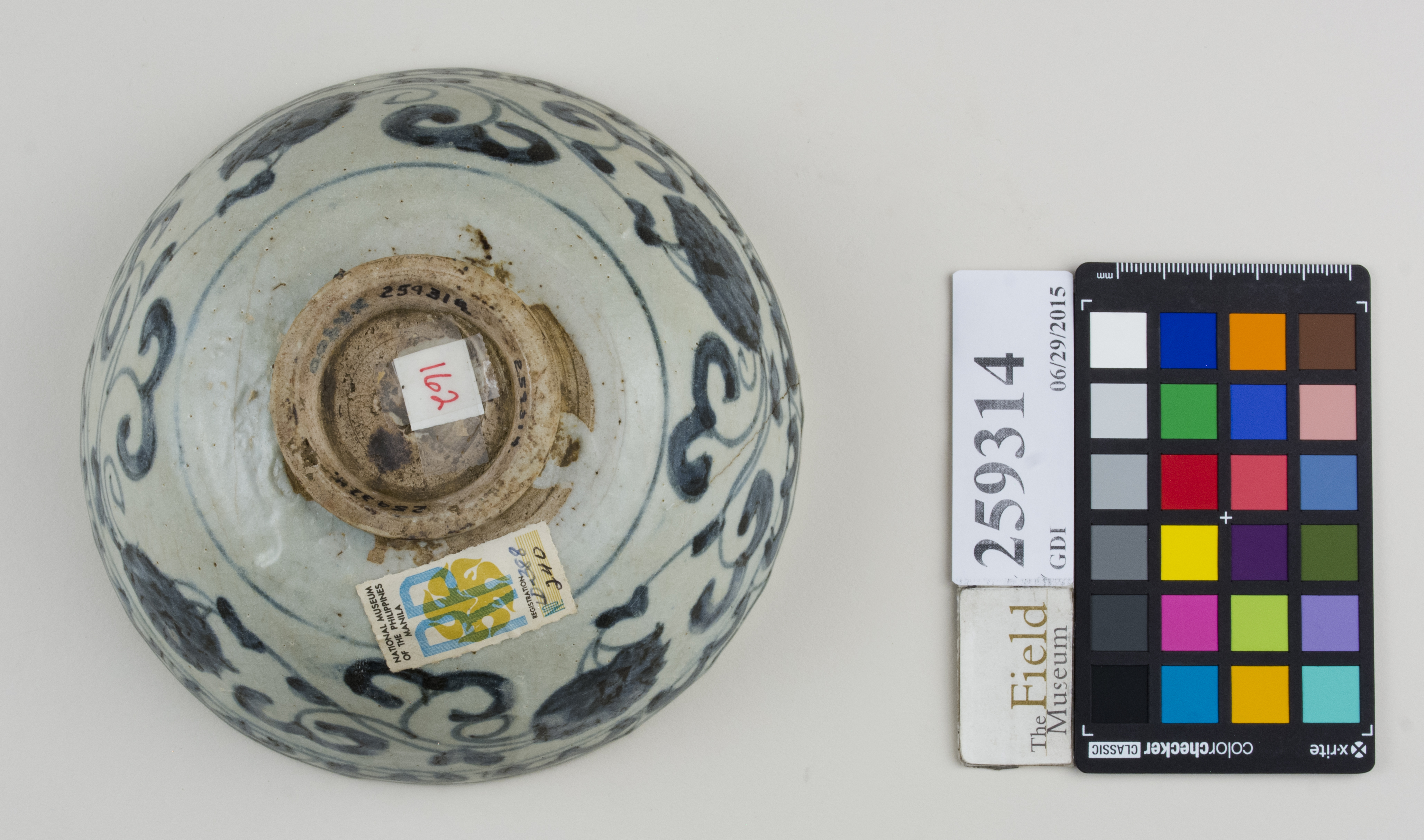 Bottom (c) Field Museum of Natural History - CC BY-NC 4.0