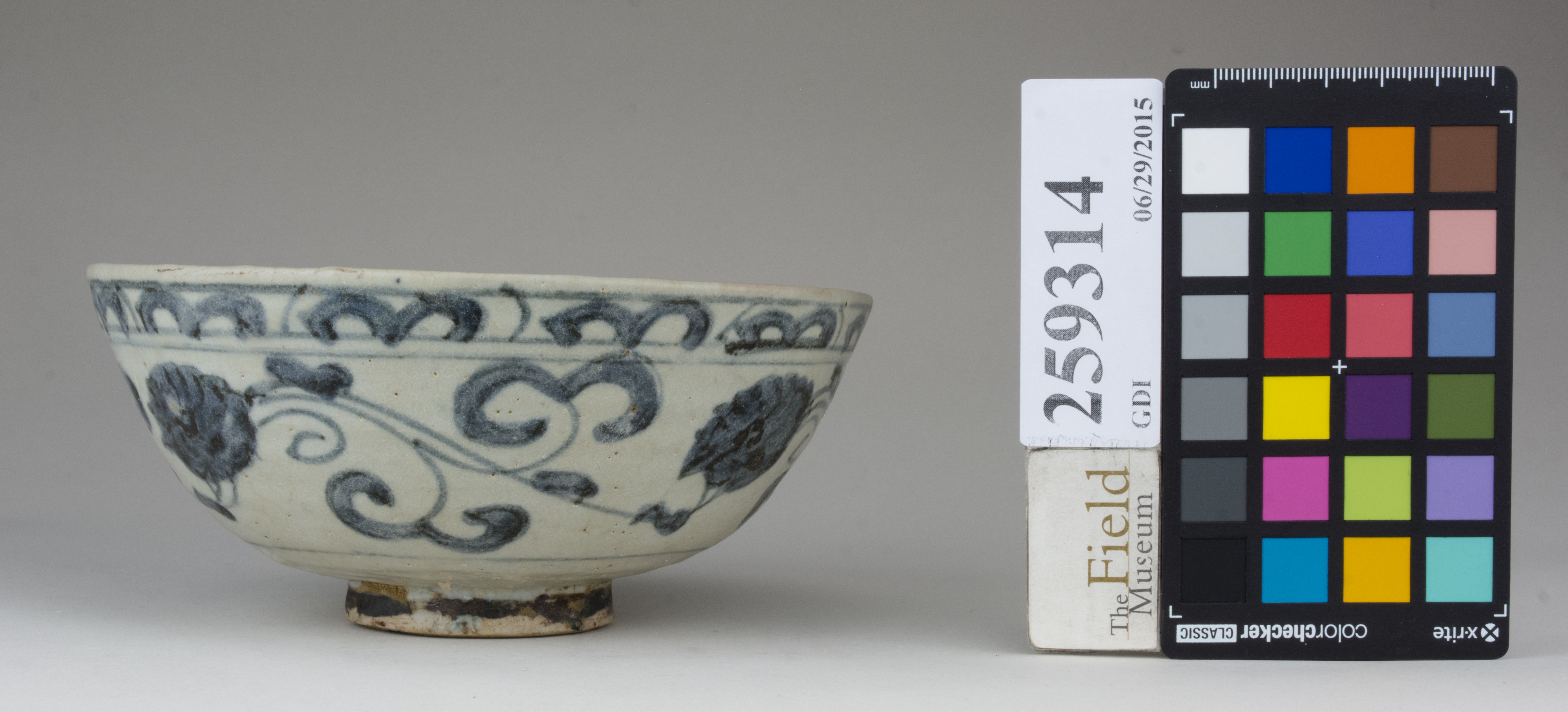 Right (c) Field Museum of Natural History - CC BY-NC 4.0