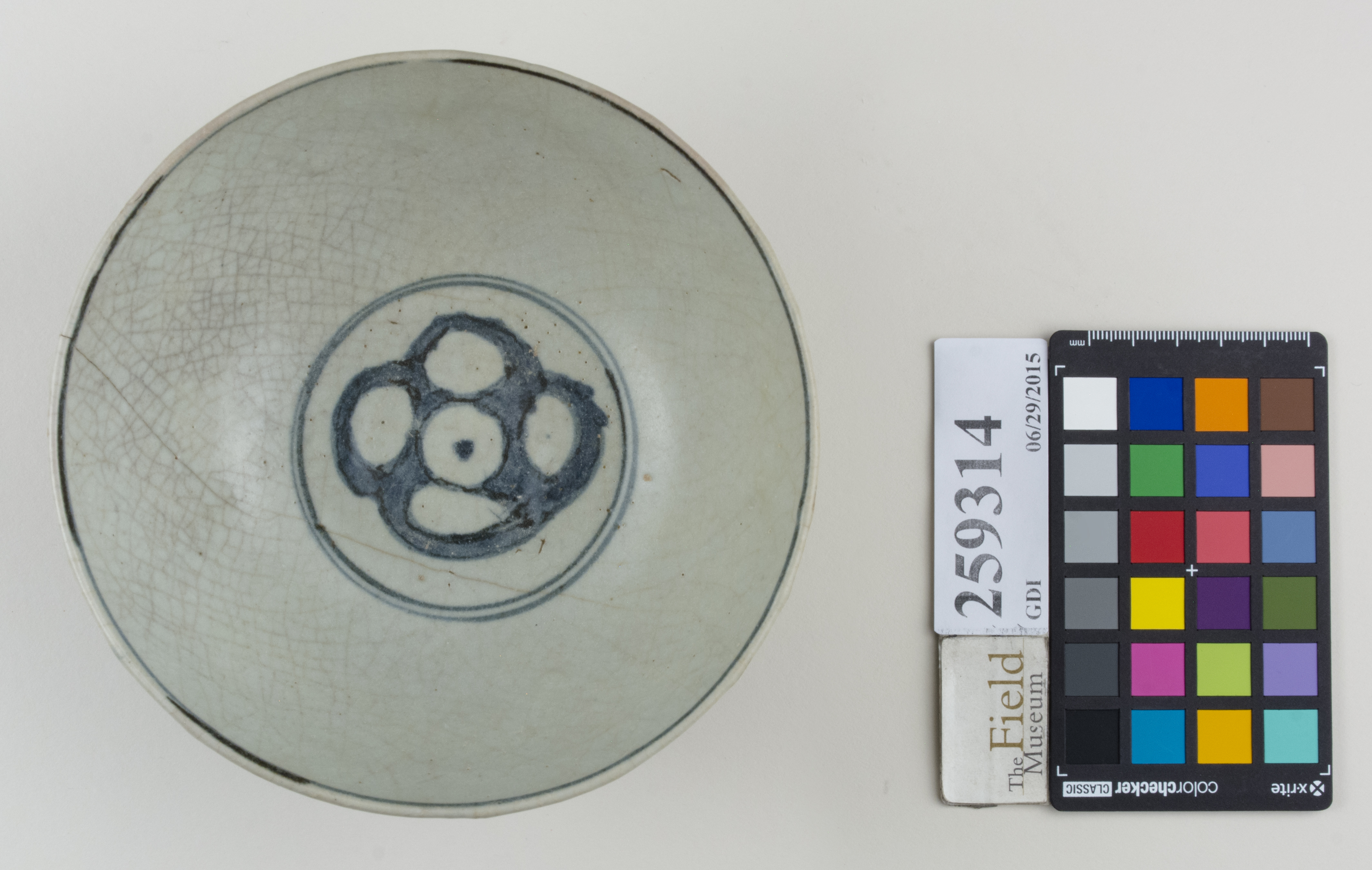 Top (c) Field Museum of Natural History - CC BY-NC 4.0