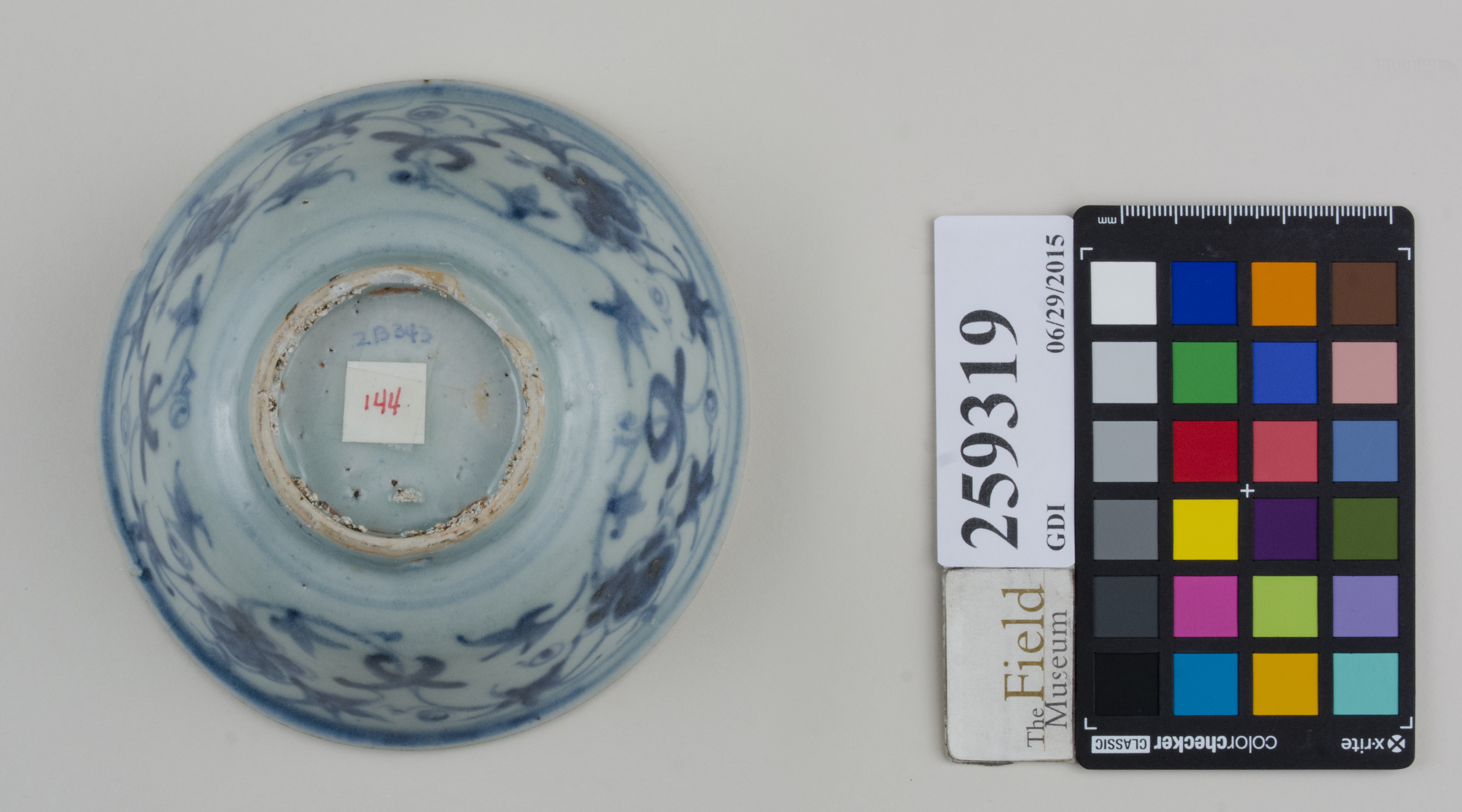 Bottom (c) Field Museum of Natural History - CC BY-NC 4.0