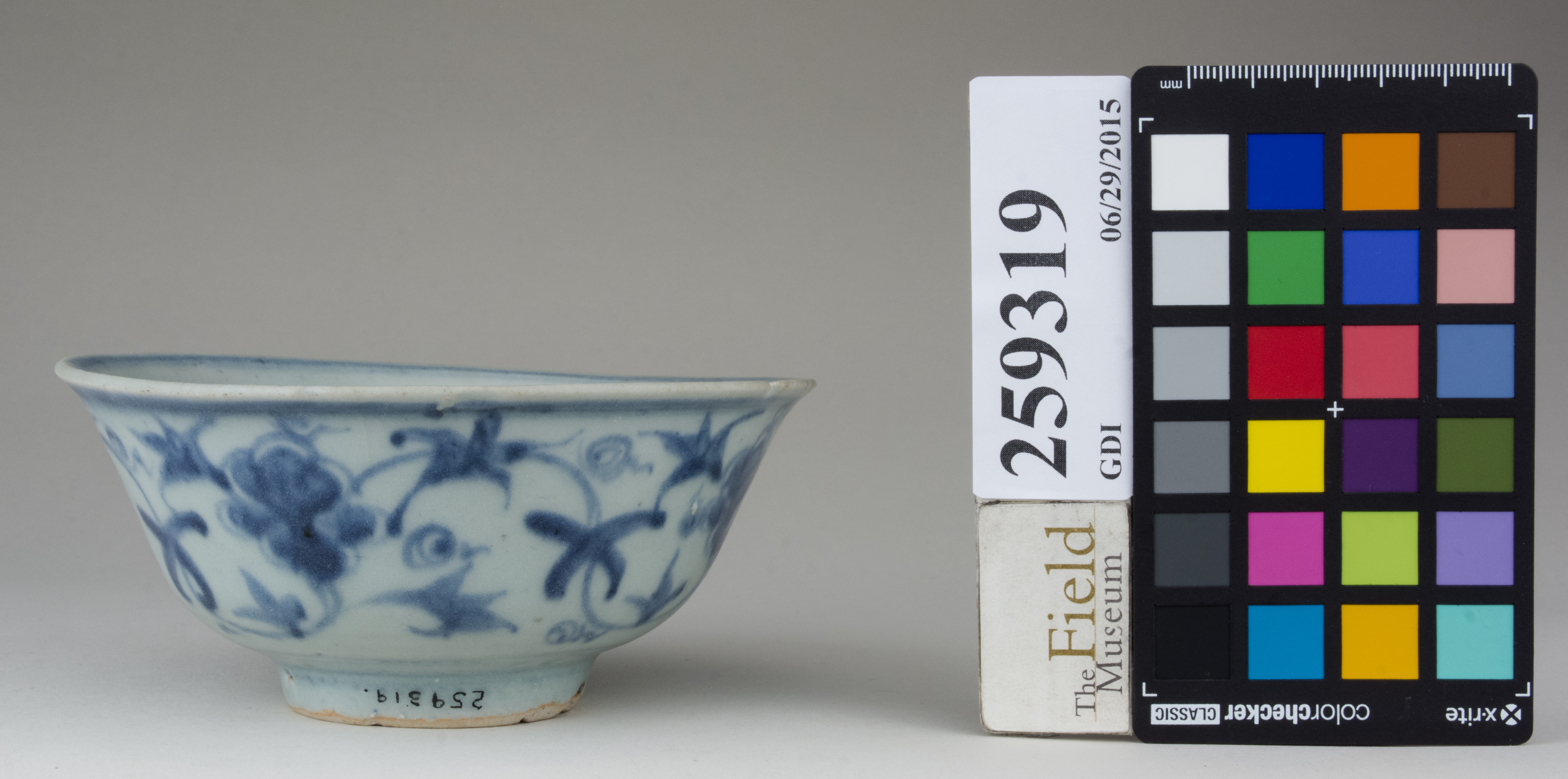 Front (c) Field Museum of Natural History - CC BY-NC 4.0