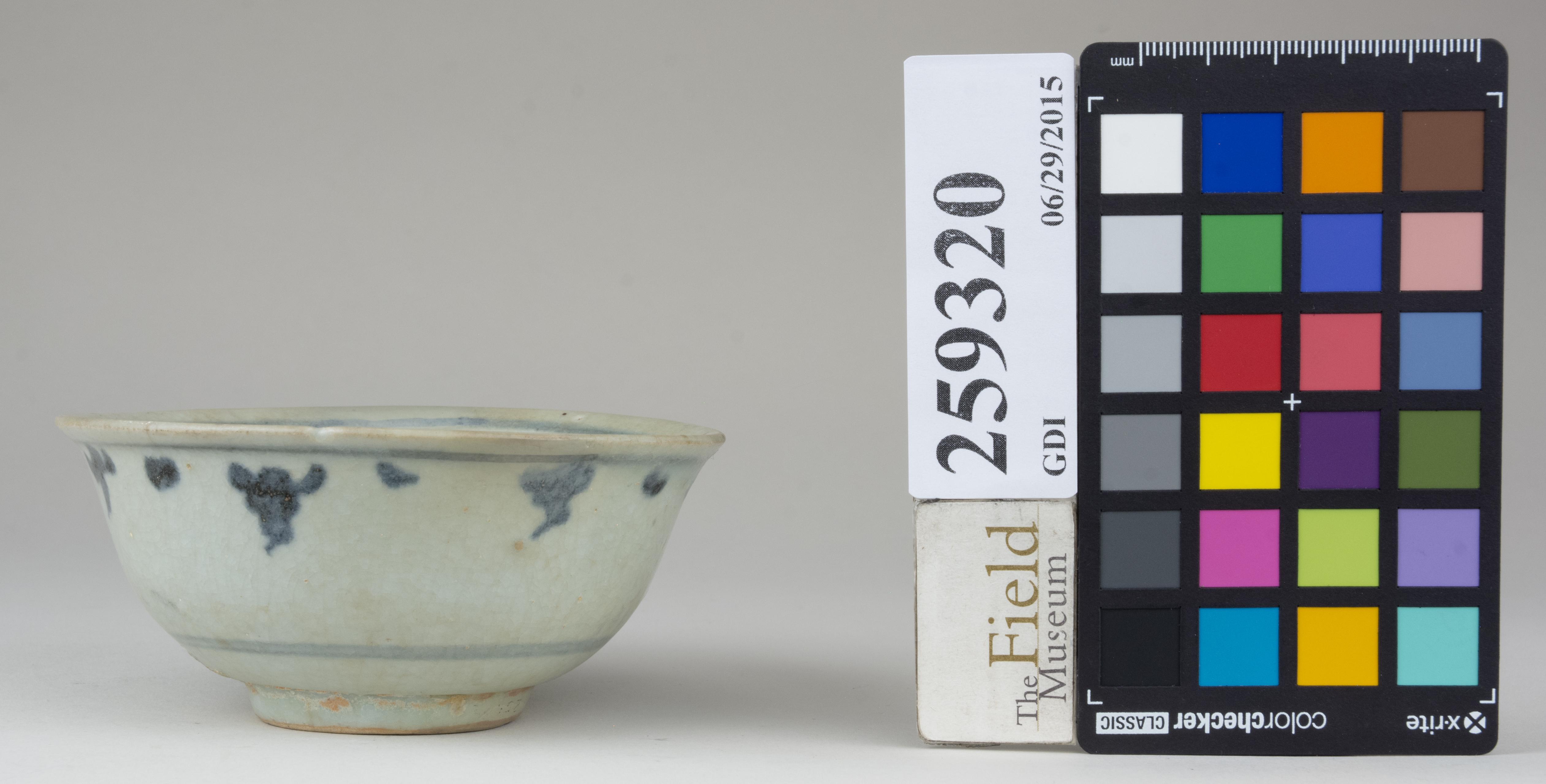 Right (c) Field Museum of Natural History - CC BY-NC 4.0