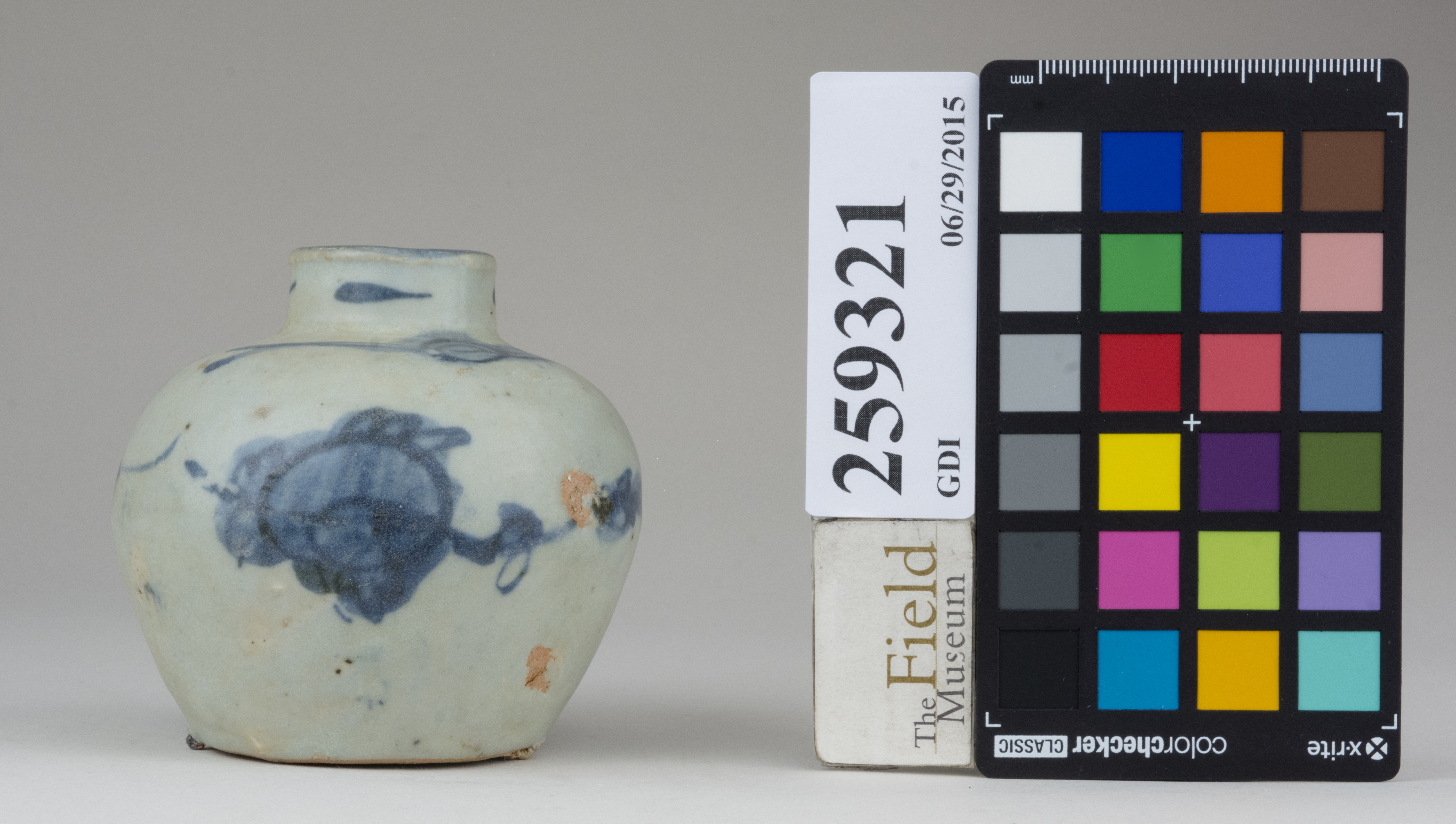 reference image, back (c) Field Museum of Natural History - CC BY-NC 4.0