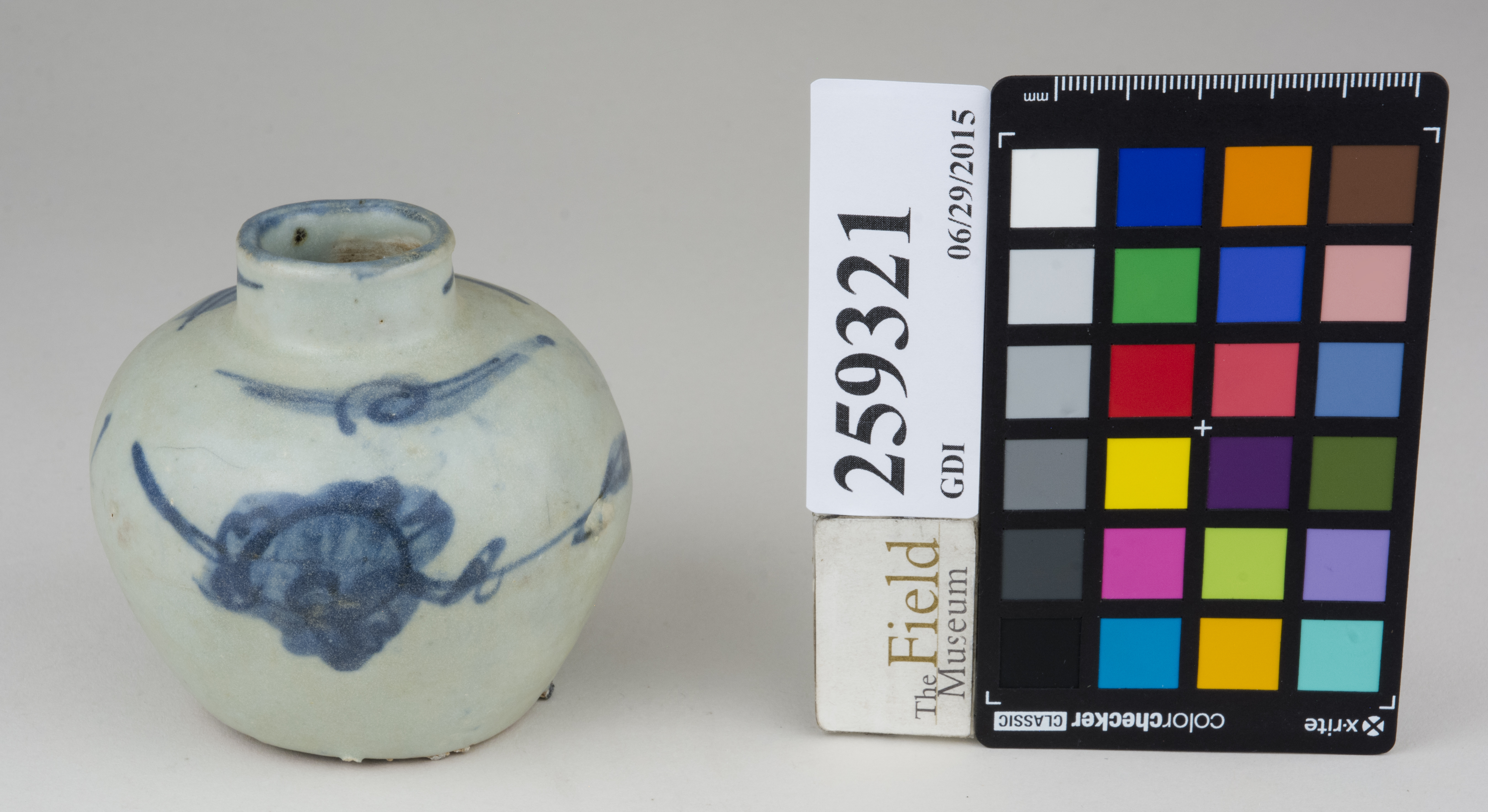 FrontAngle (c) Field Museum of Natural History - CC BY-NC 4.0