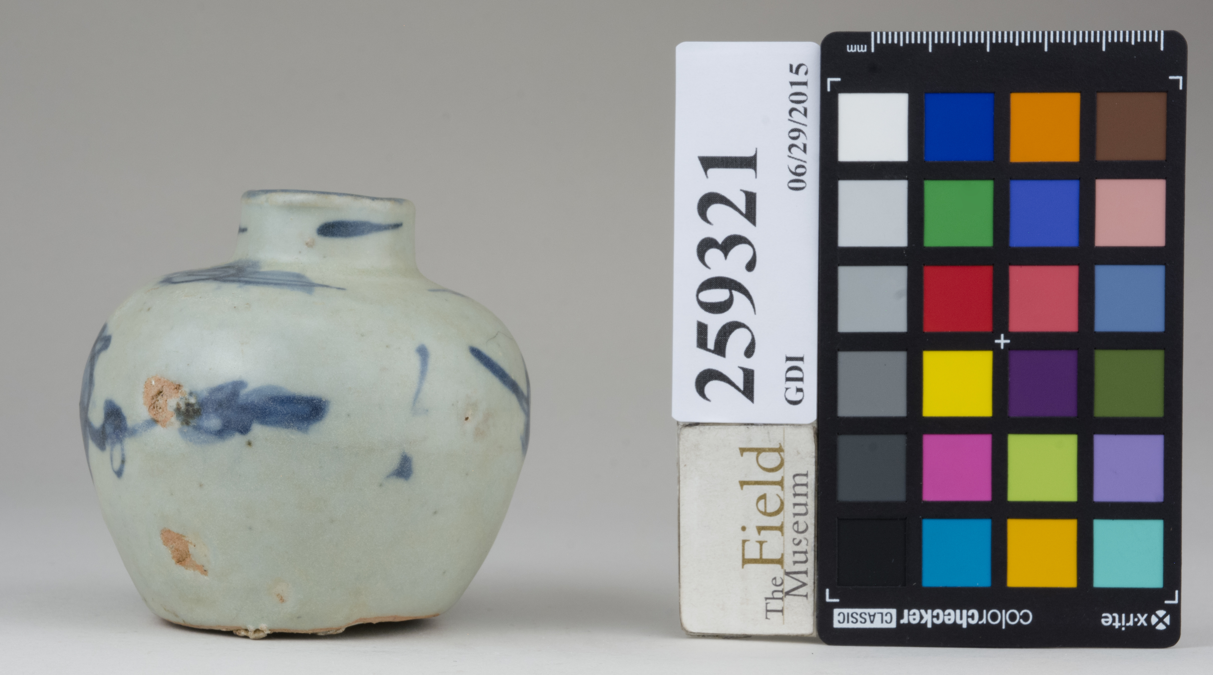 Right (c) Field Museum of Natural History - CC BY-NC 4.0