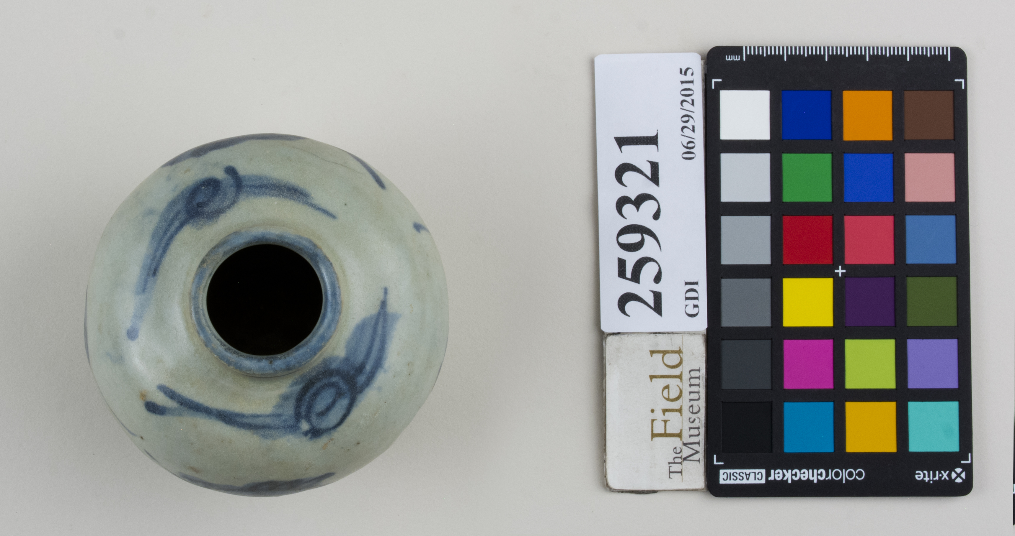 Top (c) Field Museum of Natural History - CC BY-NC 4.0