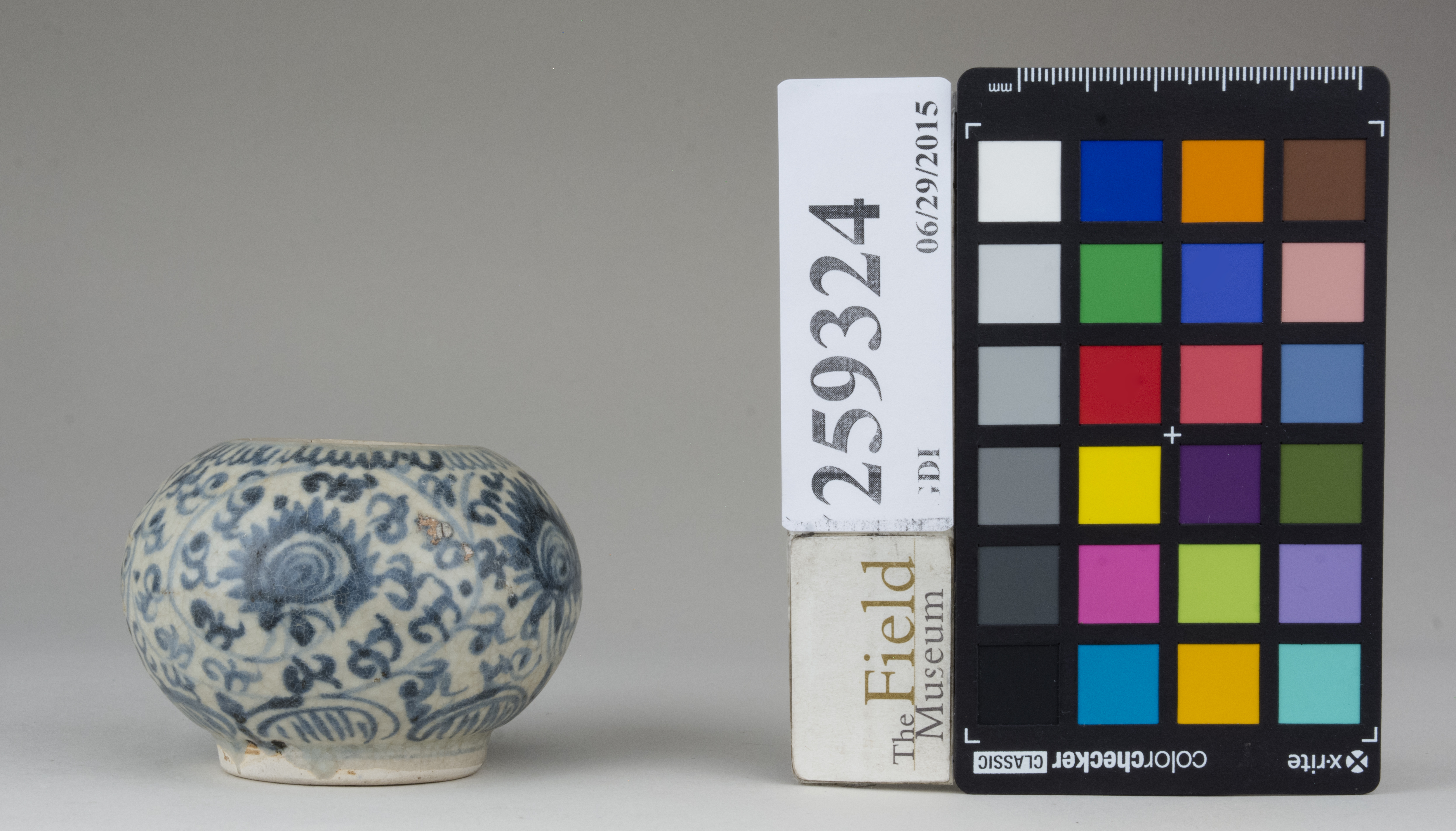 reference image, back (c) Field Museum of Natural History - CC BY-NC 4.0