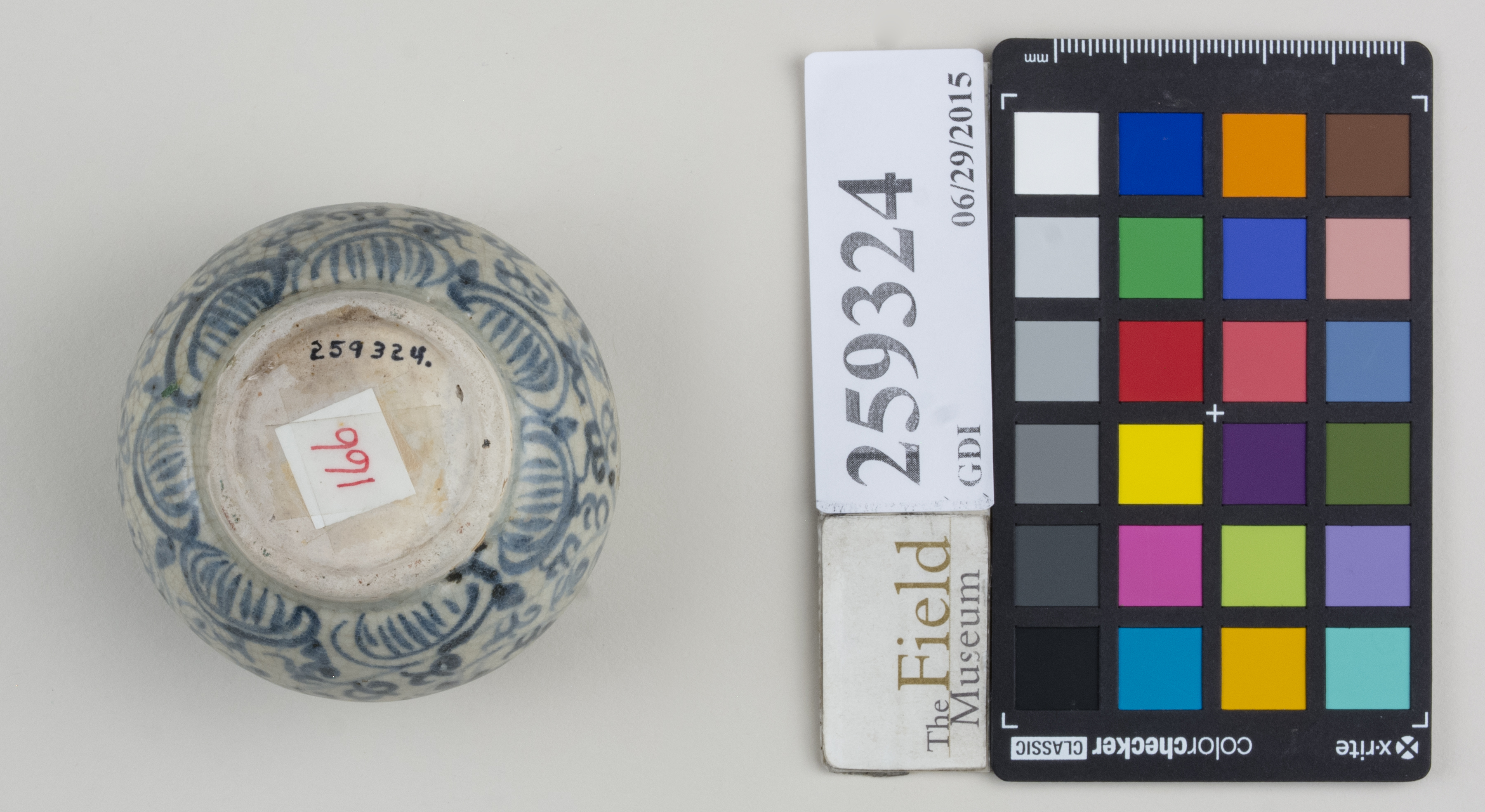 Bottom (c) Field Museum of Natural History - CC BY-NC 4.0