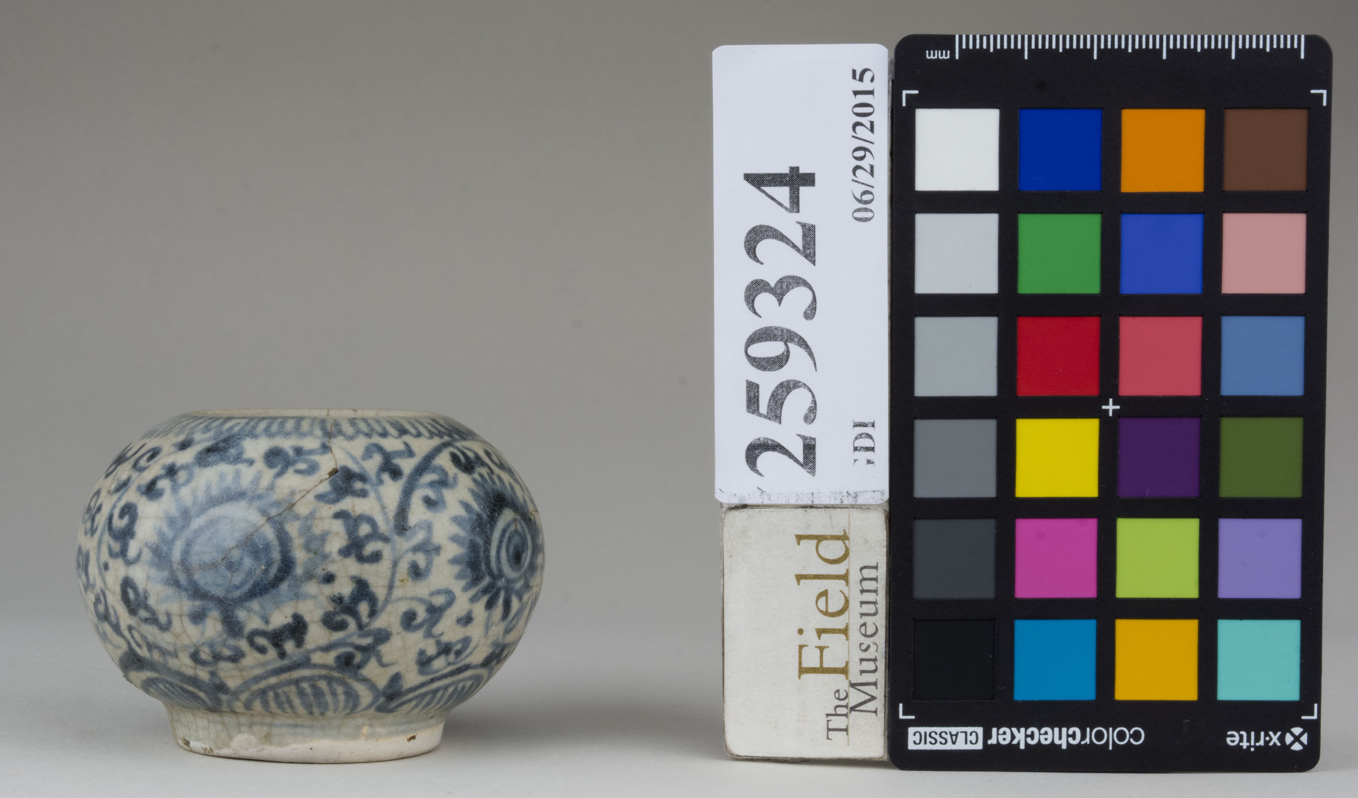 Front (c) Field Museum of Natural History - CC BY-NC 4.0