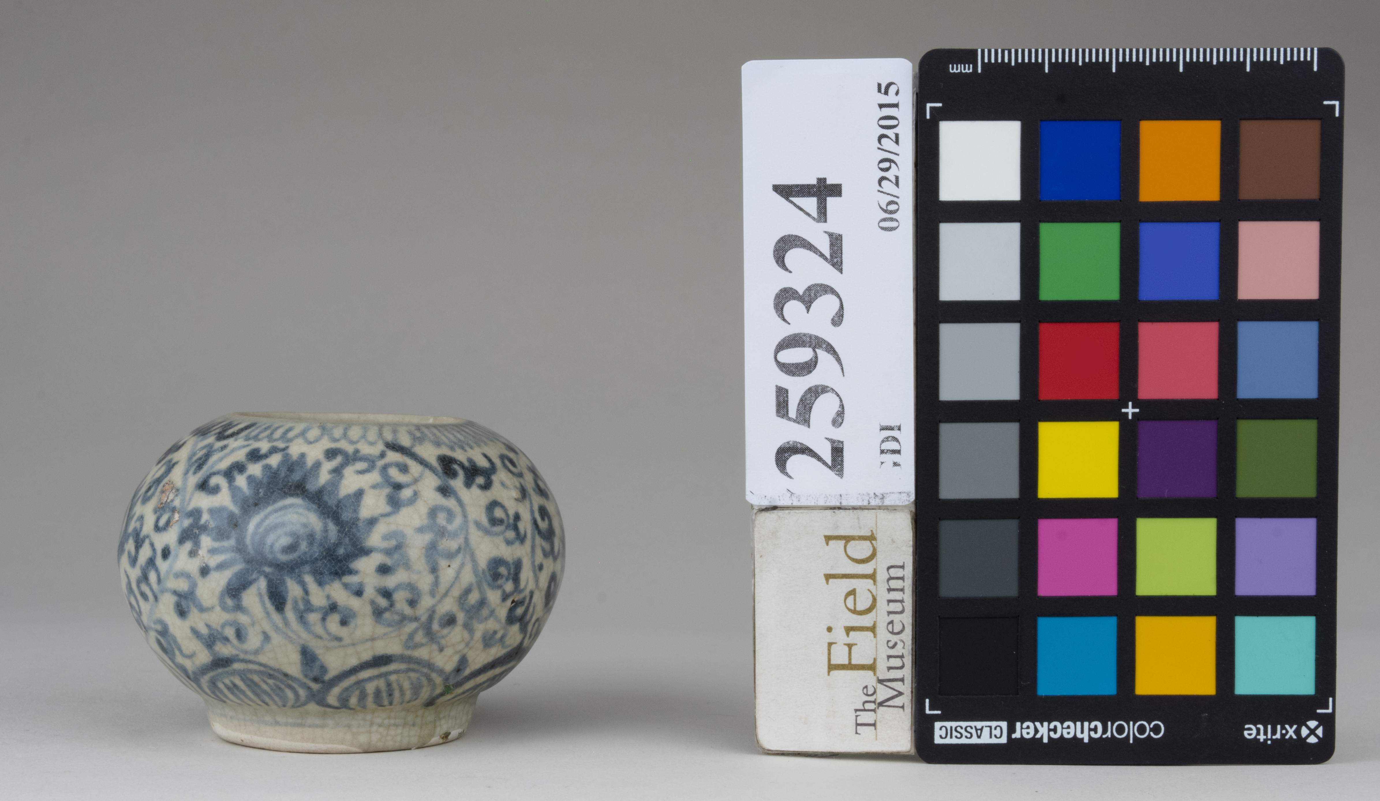 Right (c) Field Museum of Natural History - CC BY-NC 4.0