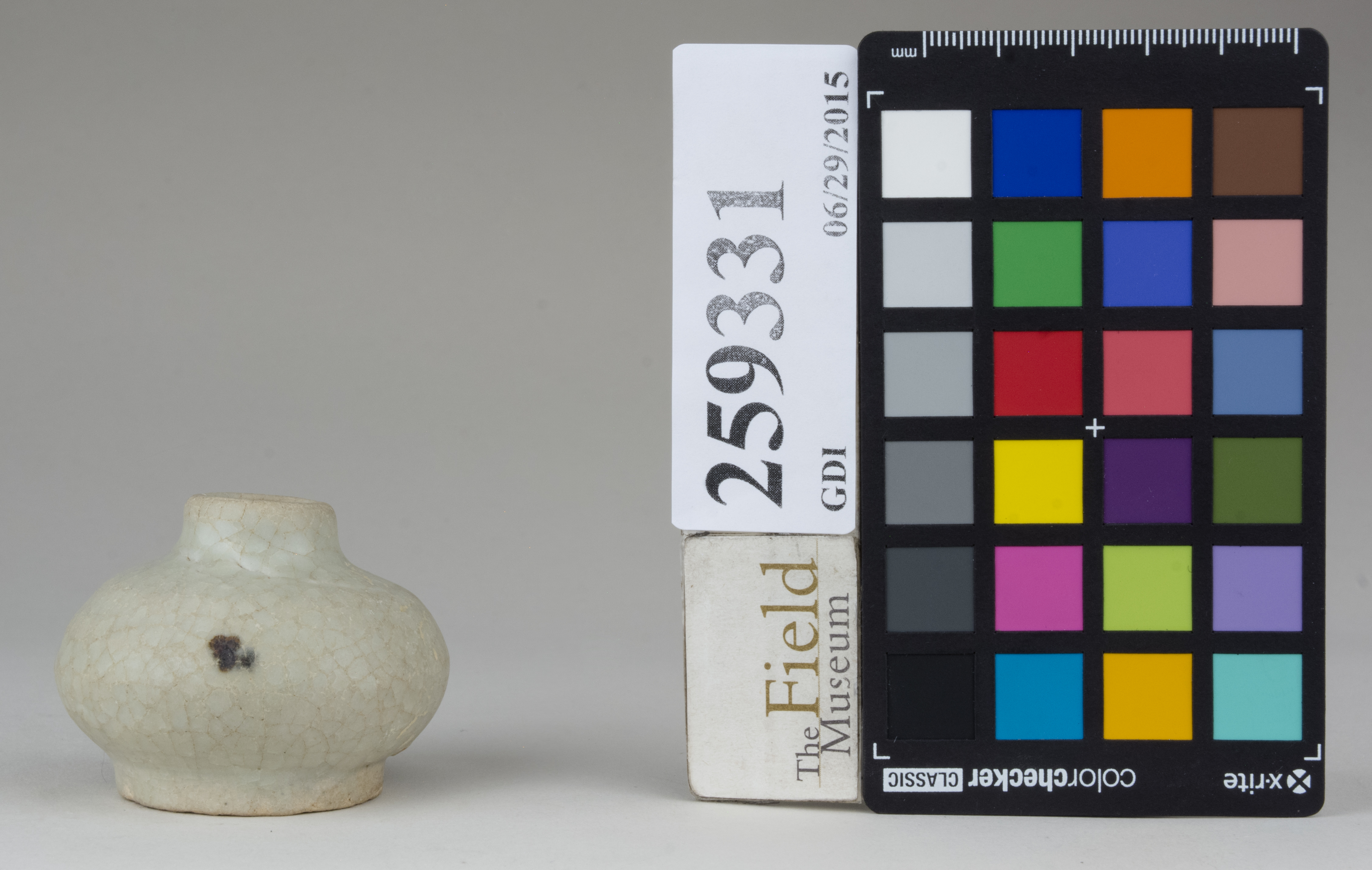 reference image, back (c) Field Museum of Natural History - CC BY-NC 4.0