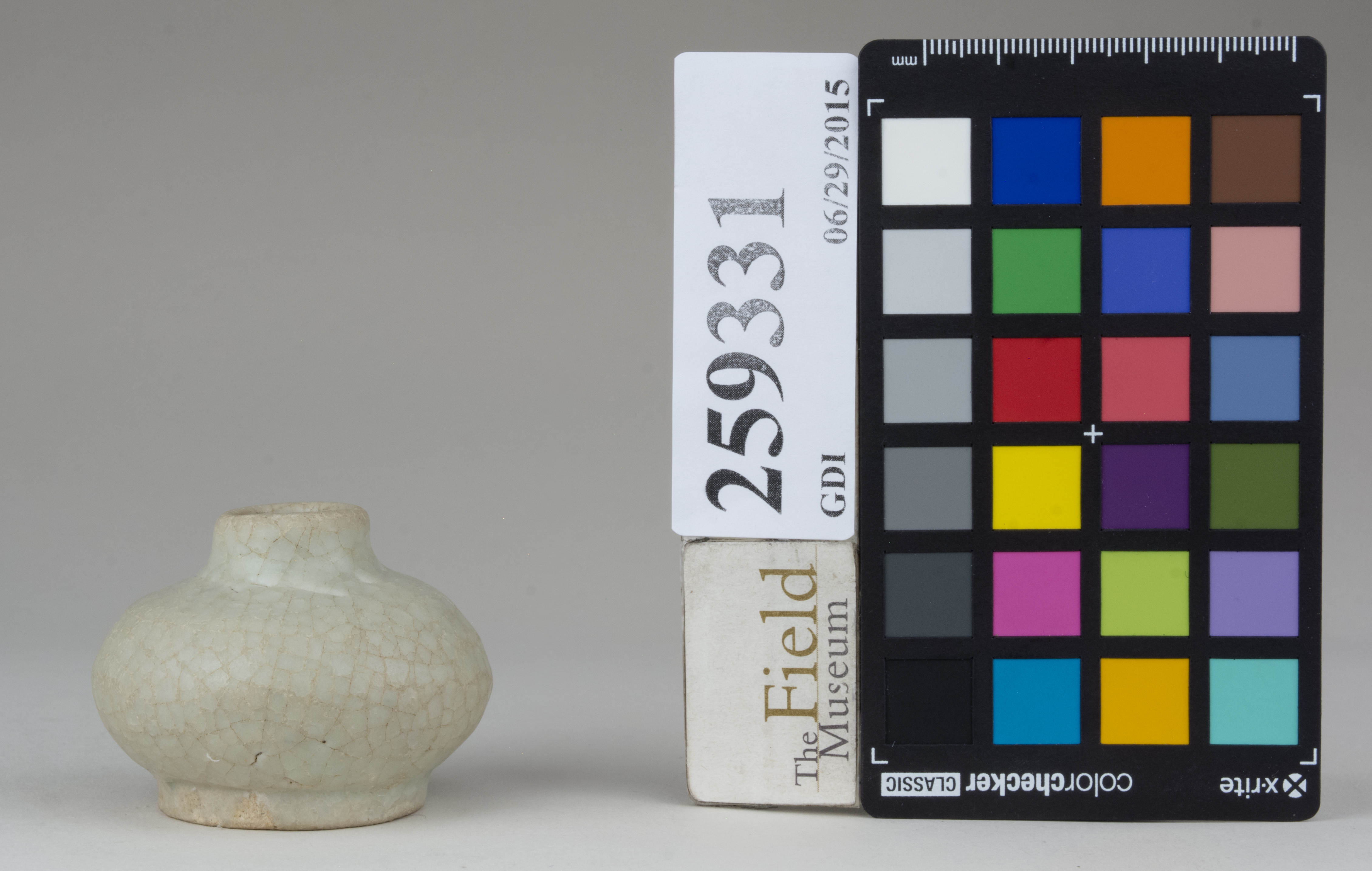 Front (c) Field Museum of Natural History - CC BY-NC 4.0