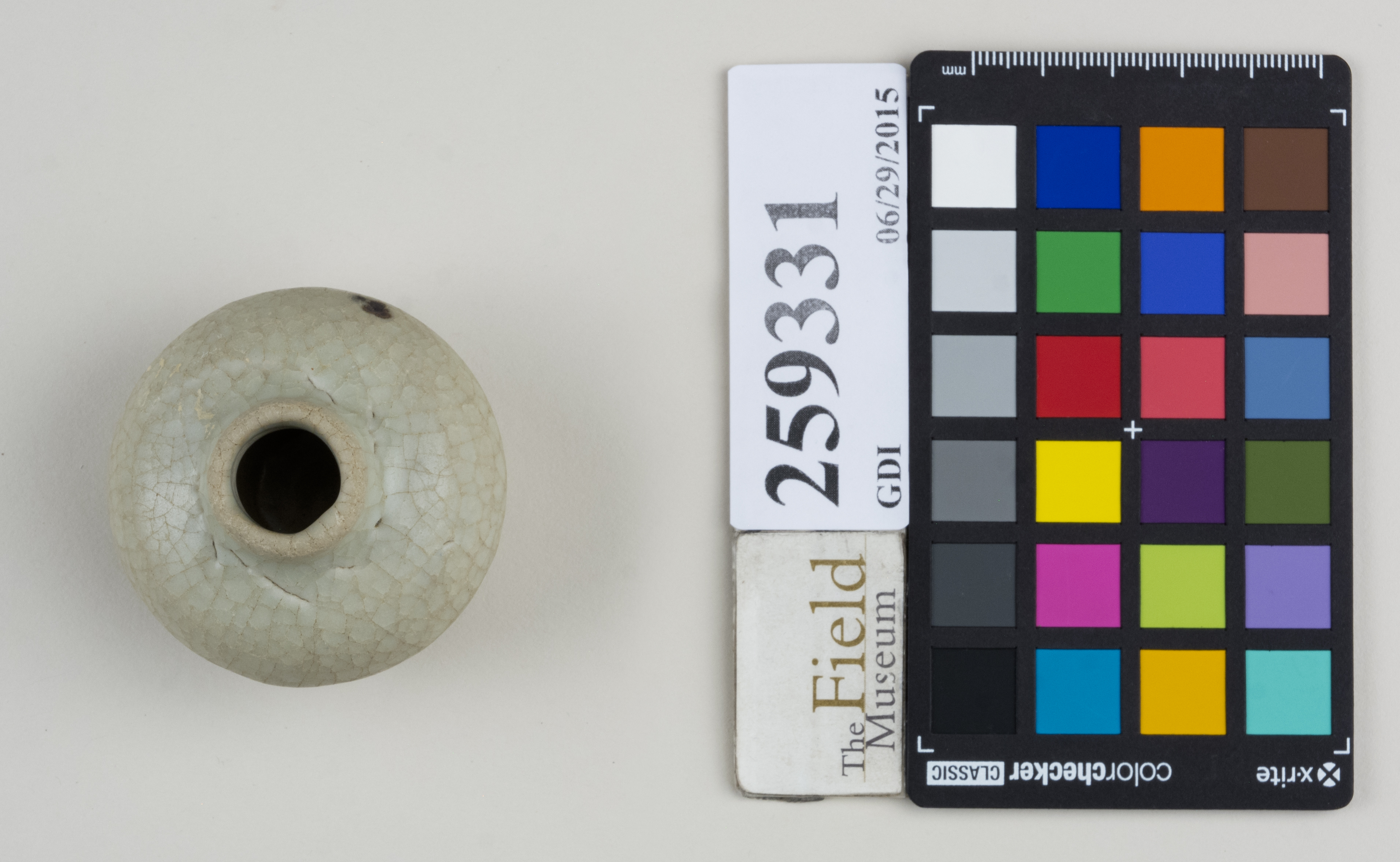 Top (c) Field Museum of Natural History - CC BY-NC 4.0