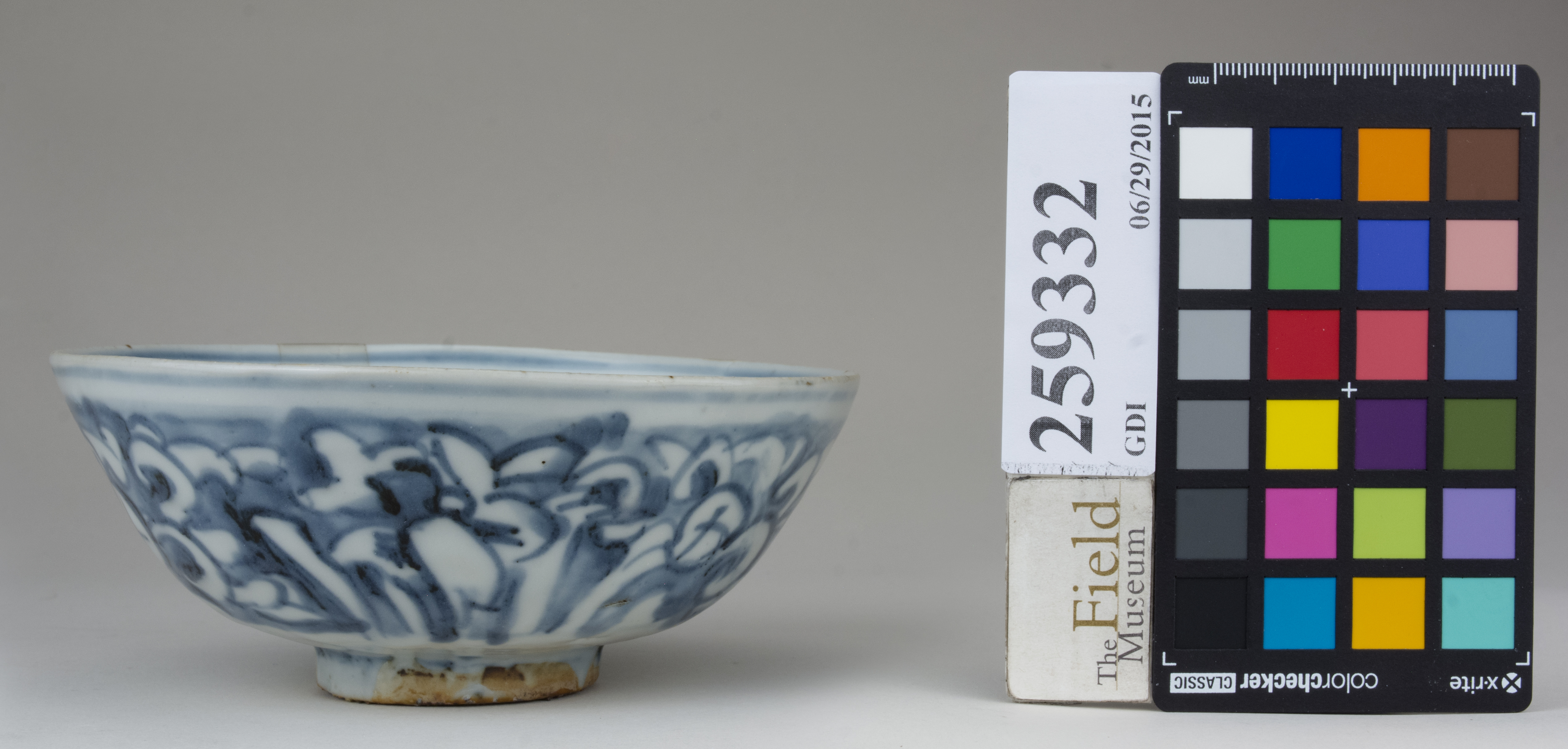 reference image, back (c) Field Museum of Natural History - CC BY-NC 4.0