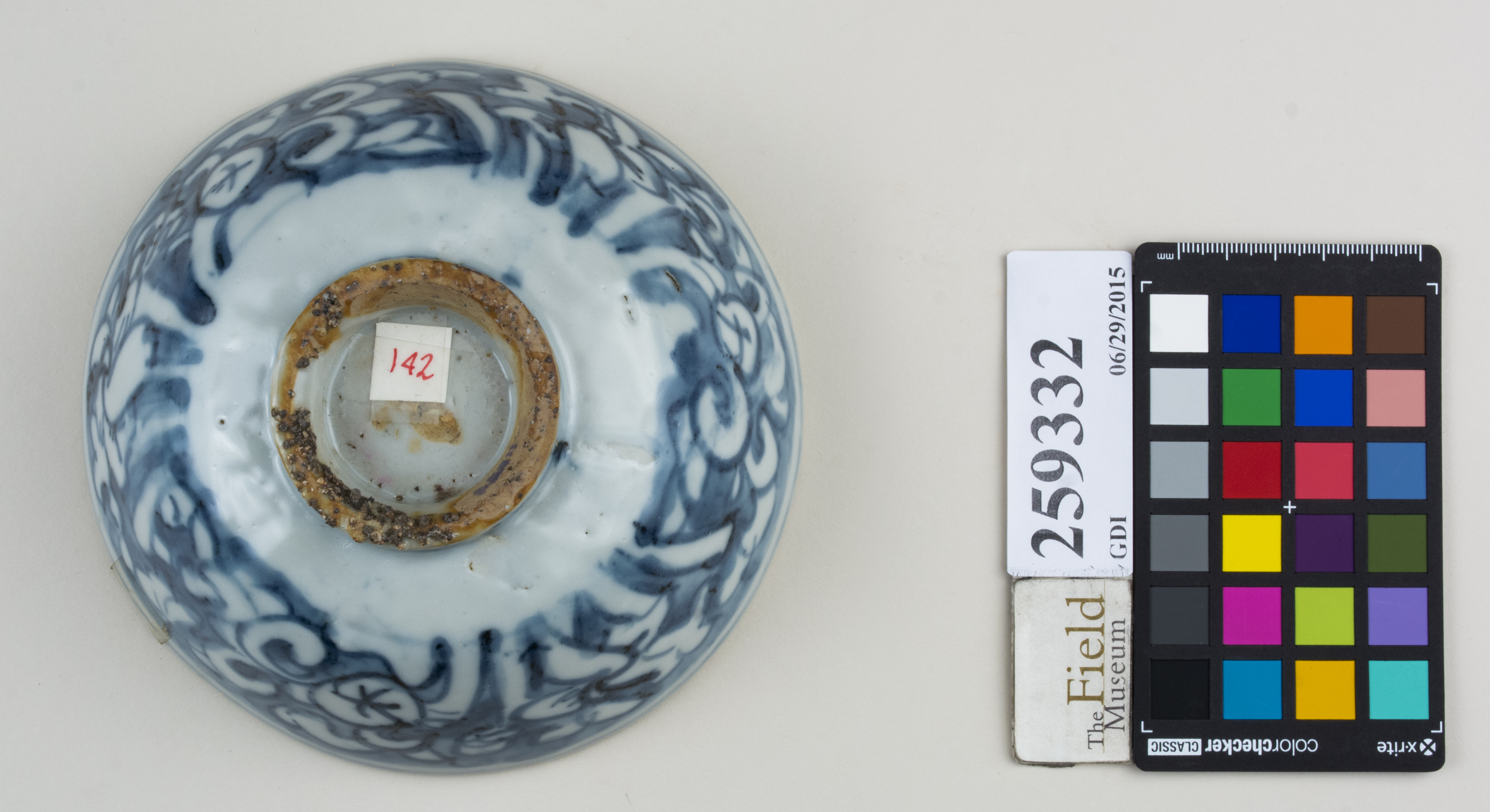 Bottom (c) Field Museum of Natural History - CC BY-NC 4.0