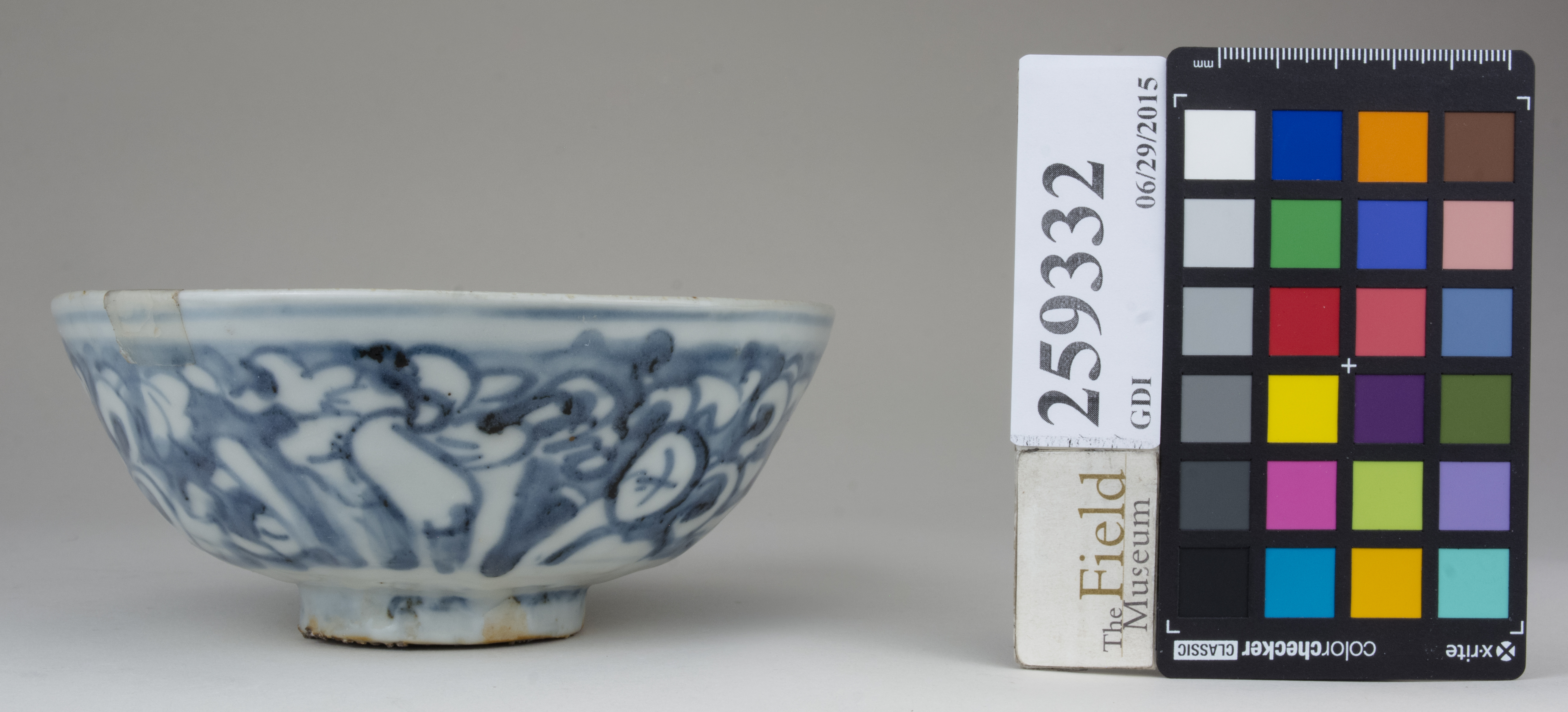 Left (c) Field Museum of Natural History - CC BY-NC 4.0