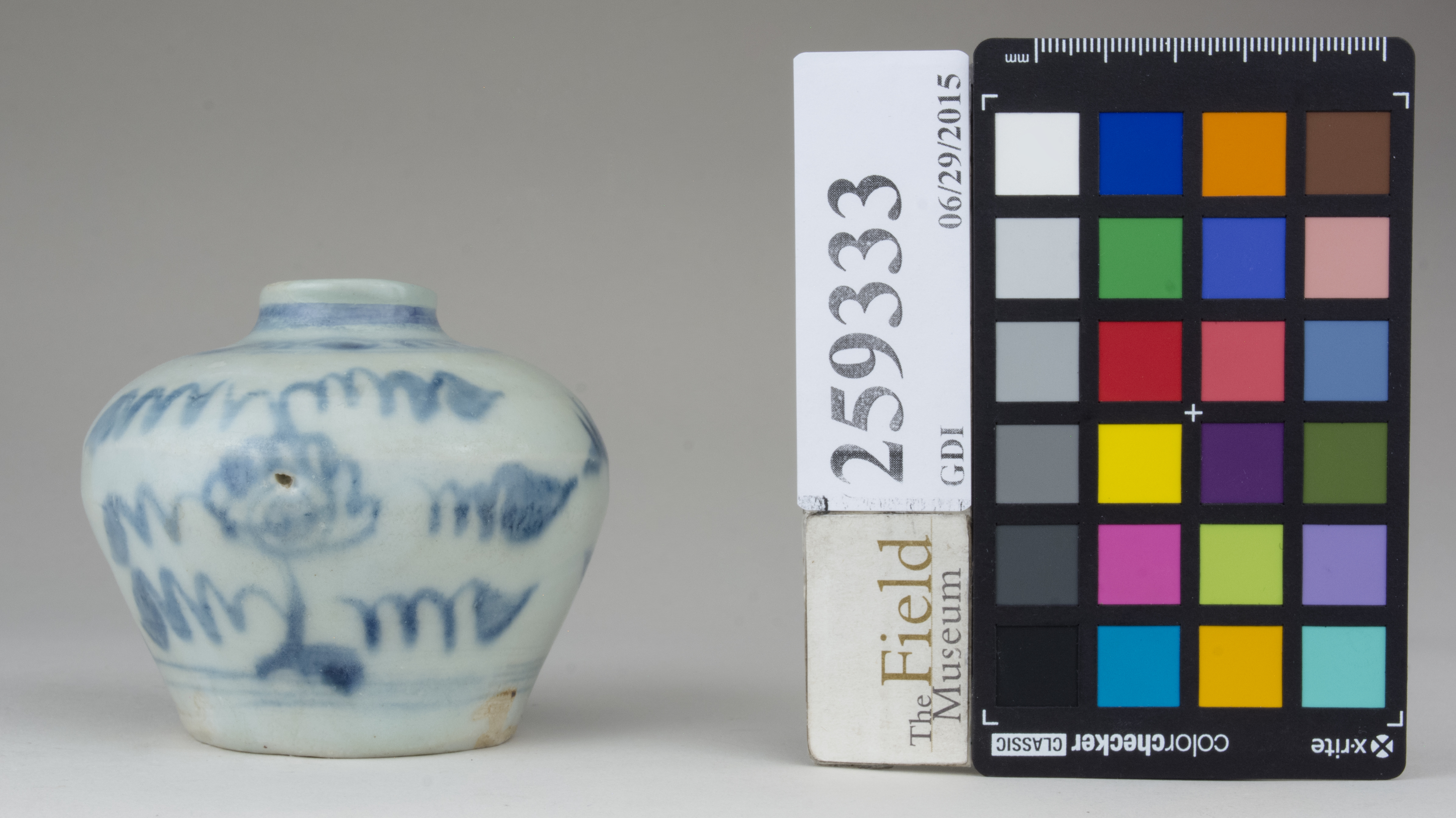 reference image, back (c) Field Museum of Natural History - CC BY-NC 4.0