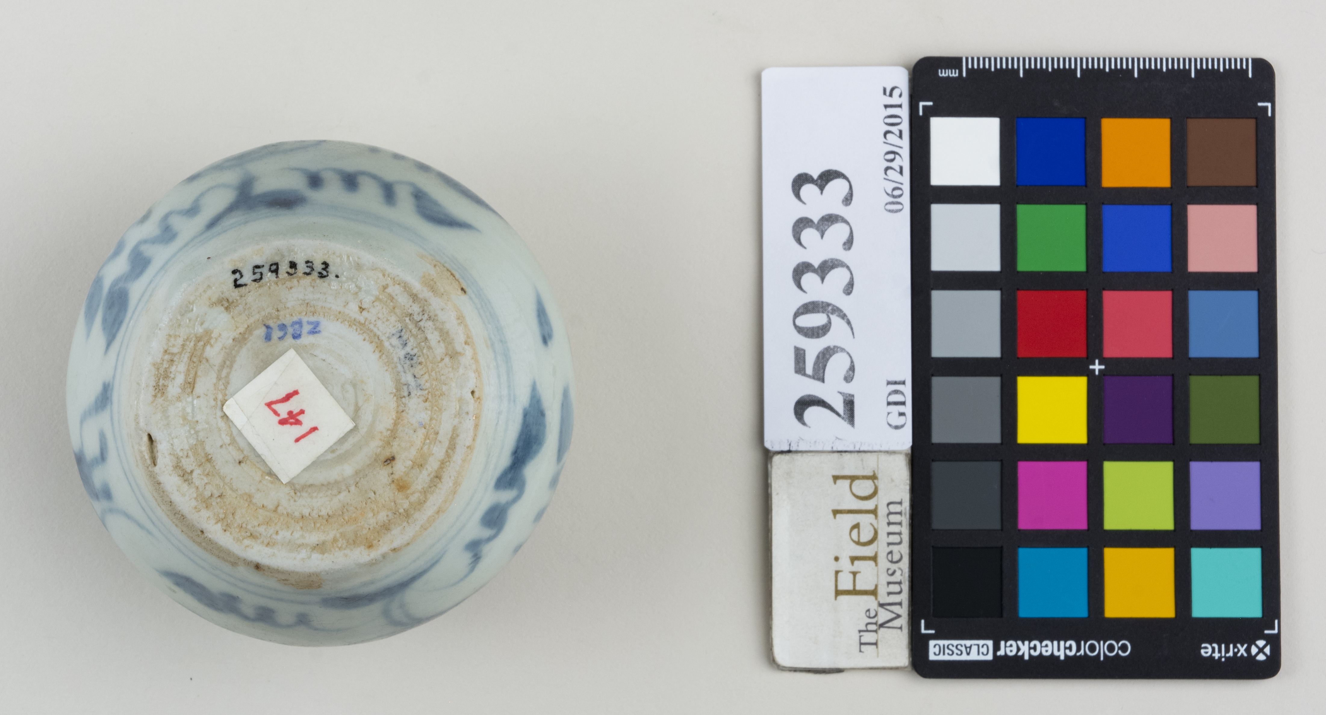 Bottom (c) Field Museum of Natural History - CC BY-NC 4.0