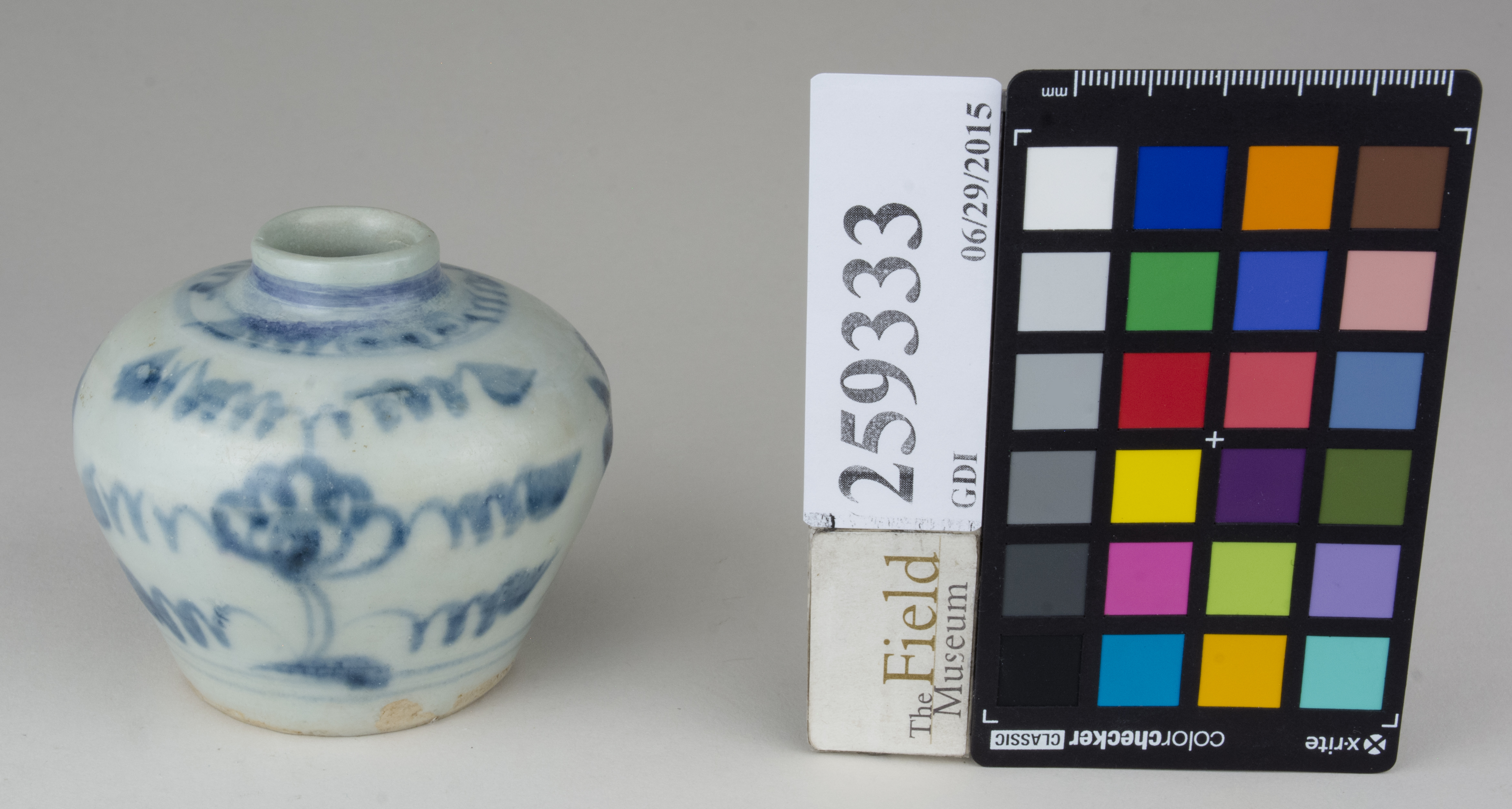 FrontAngle (c) Field Museum of Natural History - CC BY-NC 4.0