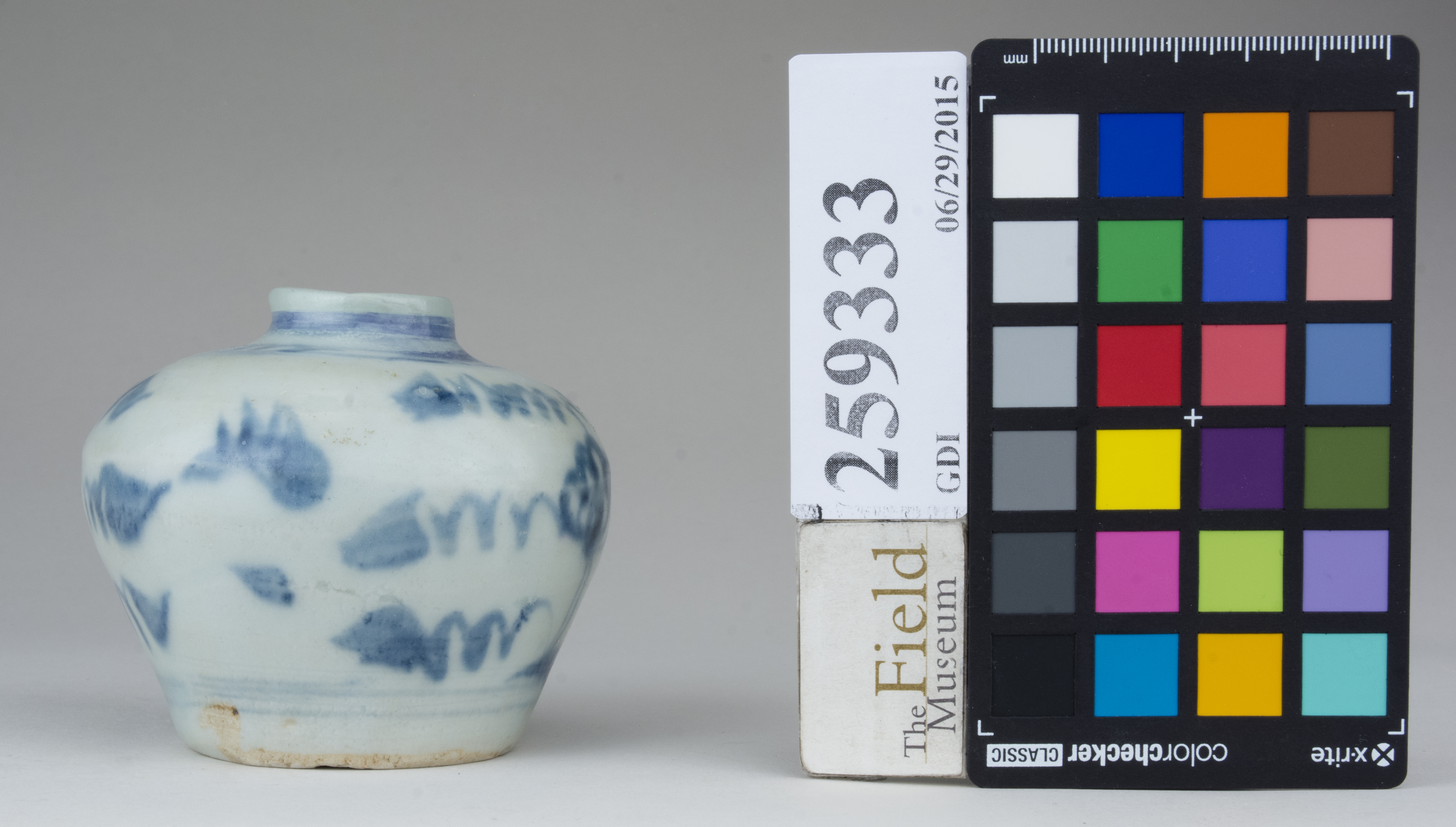 Right (c) Field Museum of Natural History - CC BY-NC 4.0