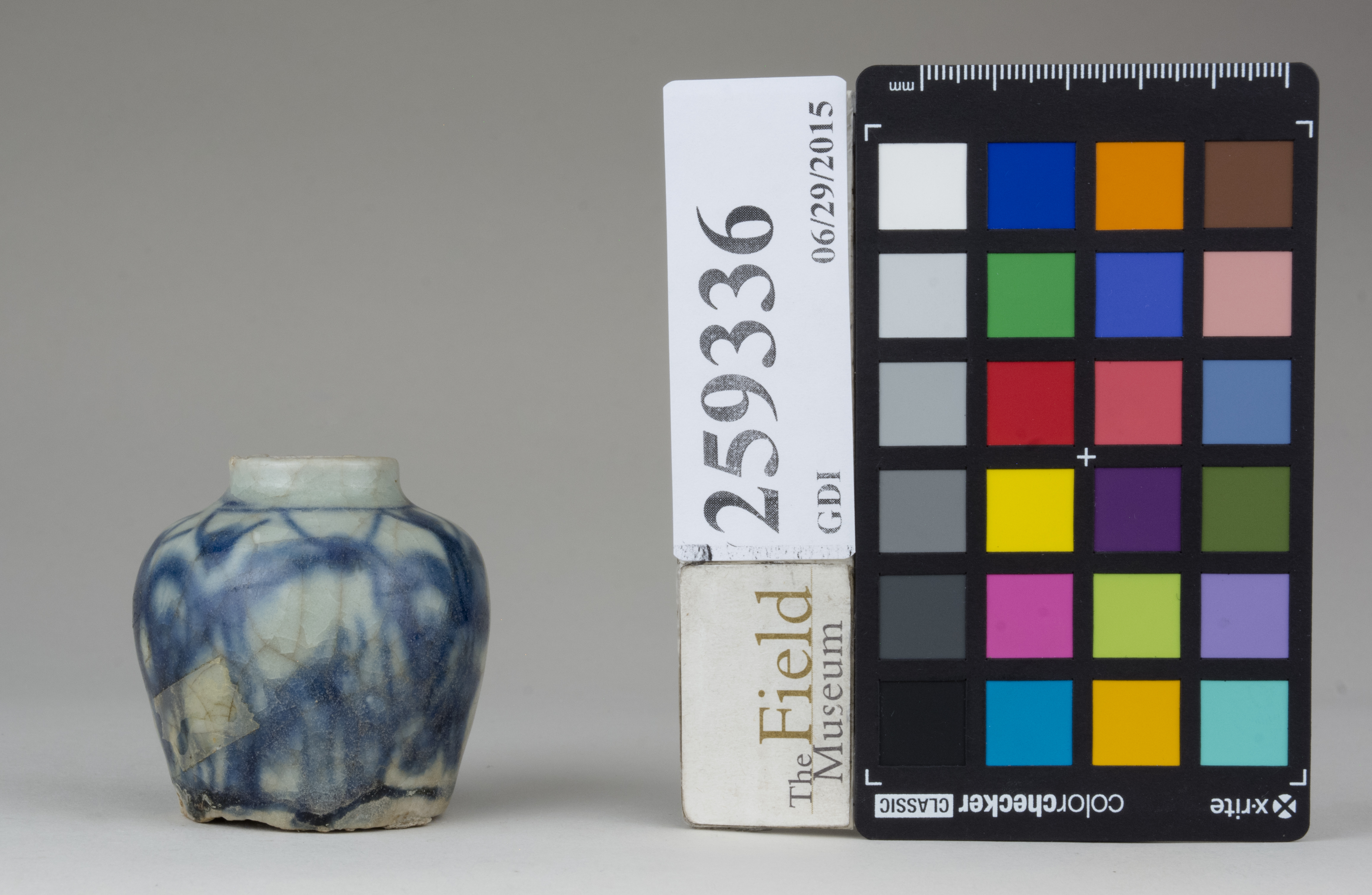 reference image, back (c) Field Museum of Natural History - CC BY-NC 4.0