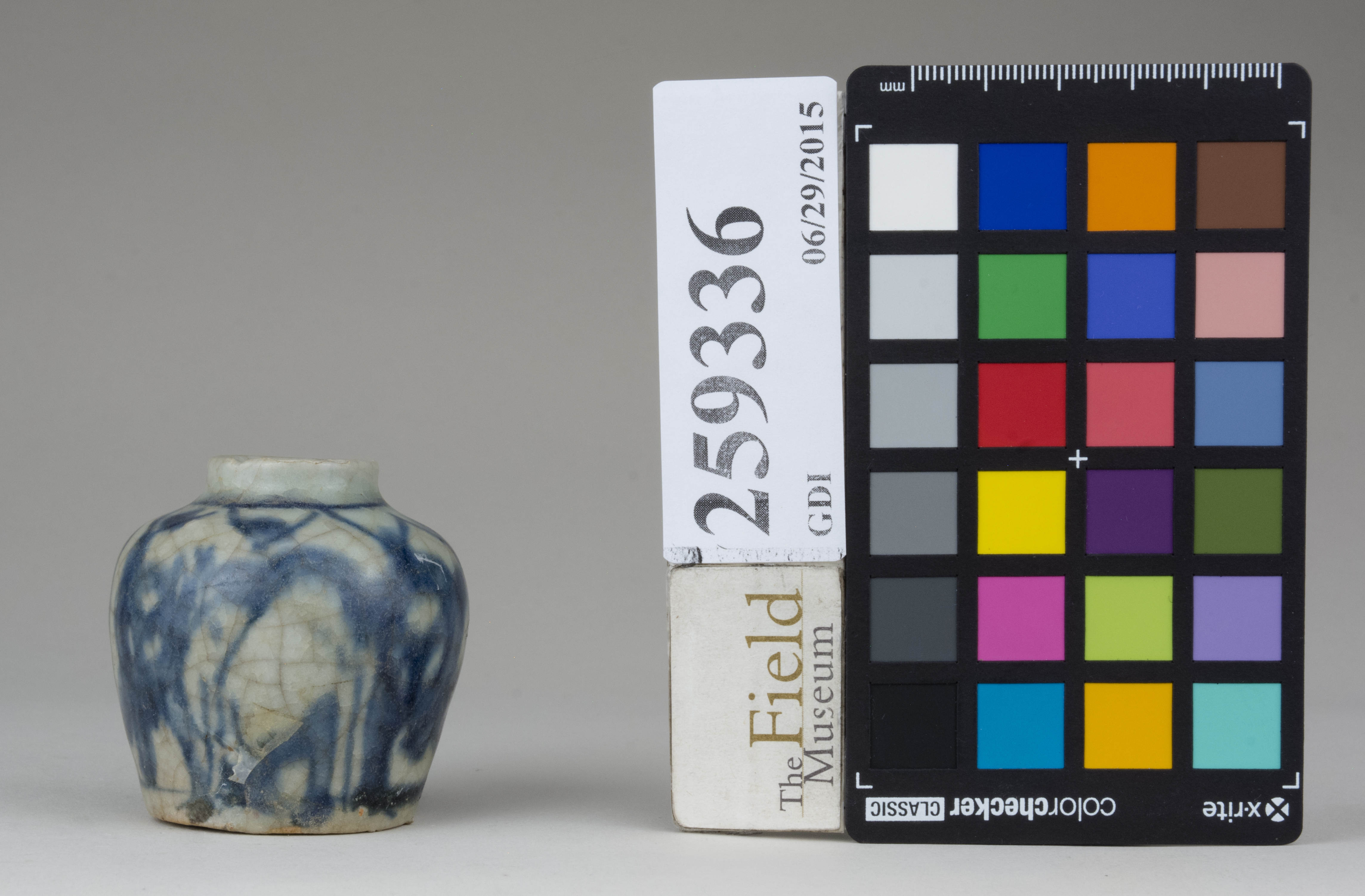 Front (c) Field Museum of Natural History - CC BY-NC 4.0