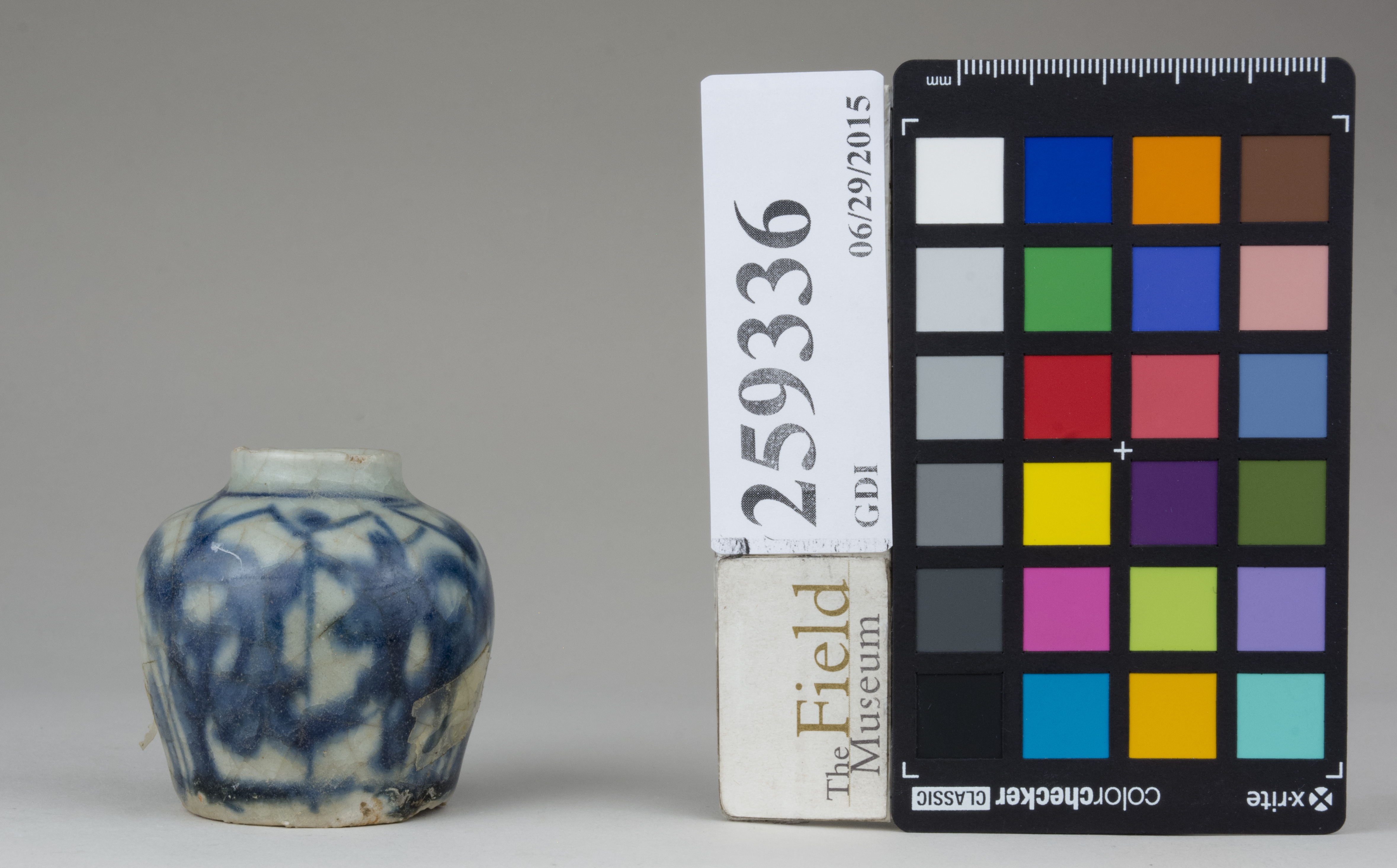 Left (c) Field Museum of Natural History - CC BY-NC 4.0