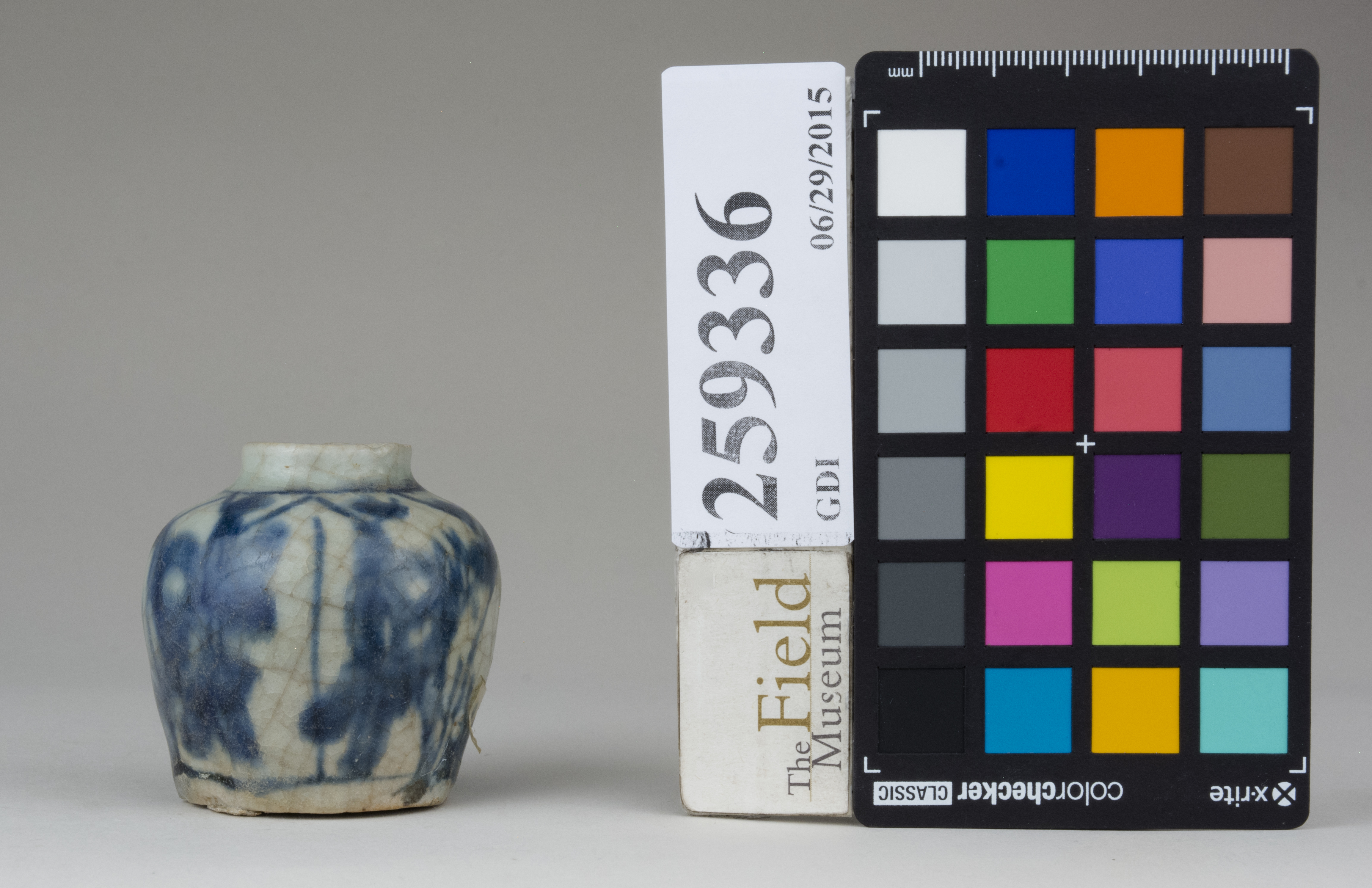 Right (c) Field Museum of Natural History - CC BY-NC 4.0