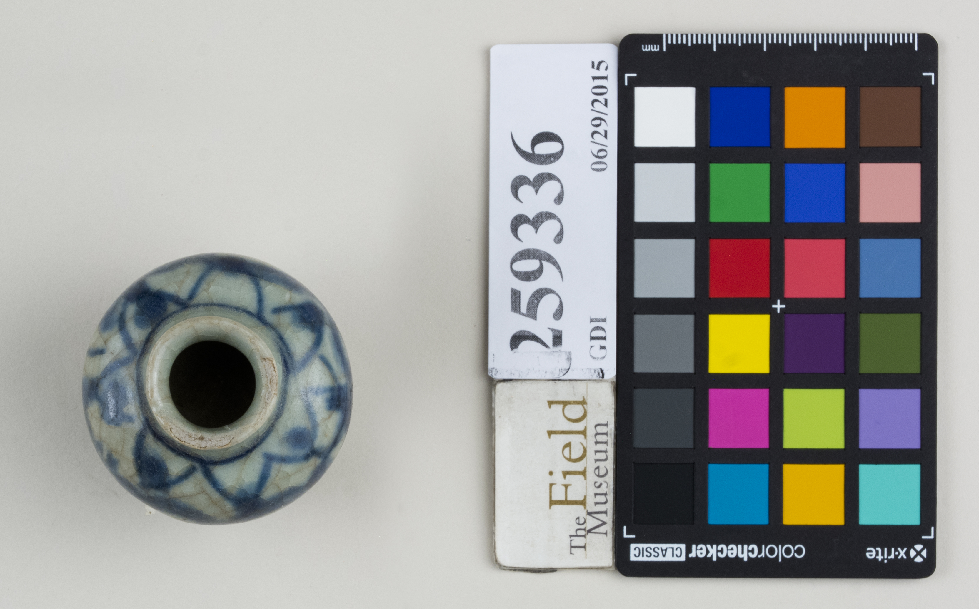 Top (c) Field Museum of Natural History - CC BY-NC 4.0