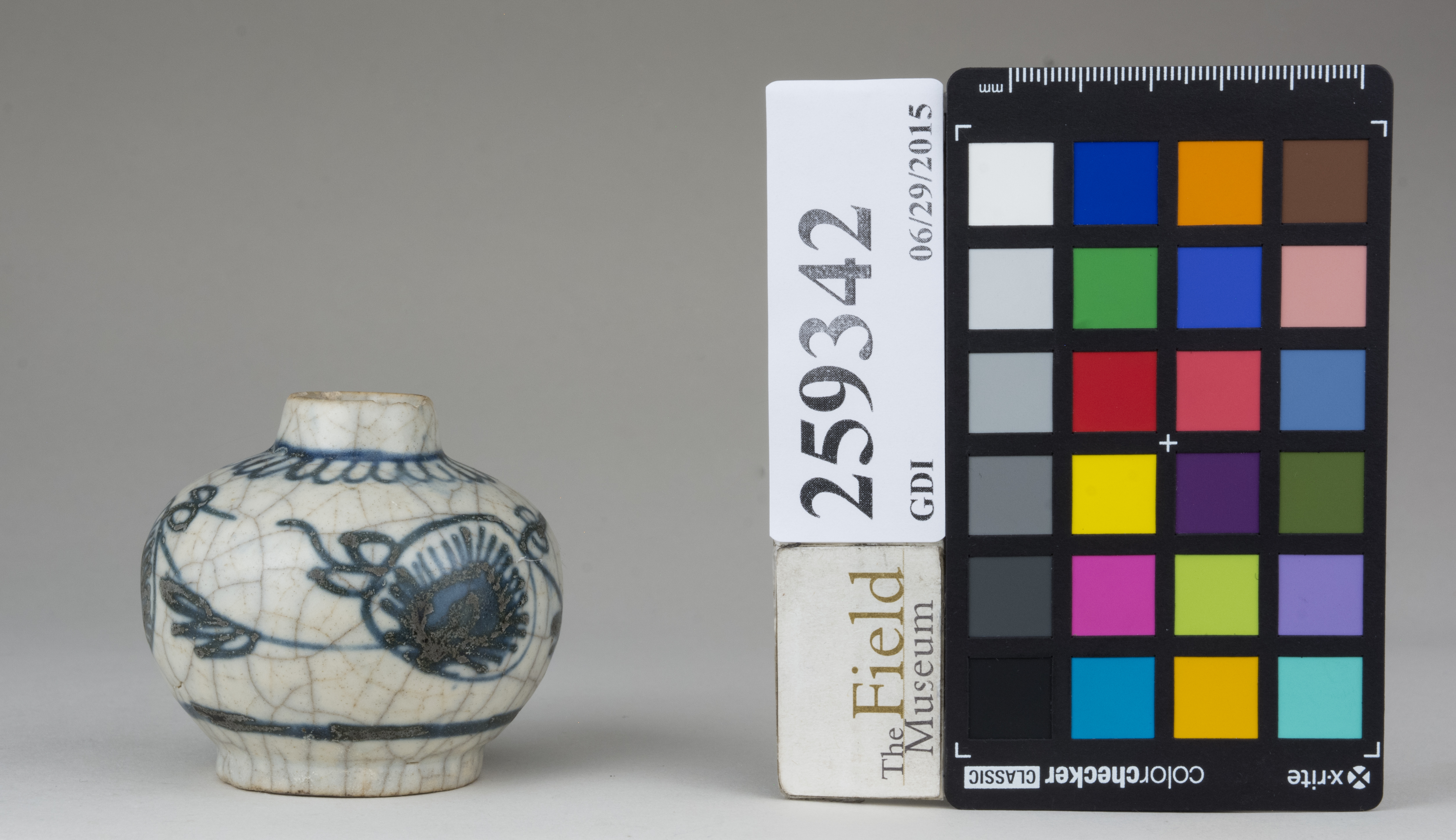 reference image, back (c) Field Museum of Natural History - CC BY-NC 4.0