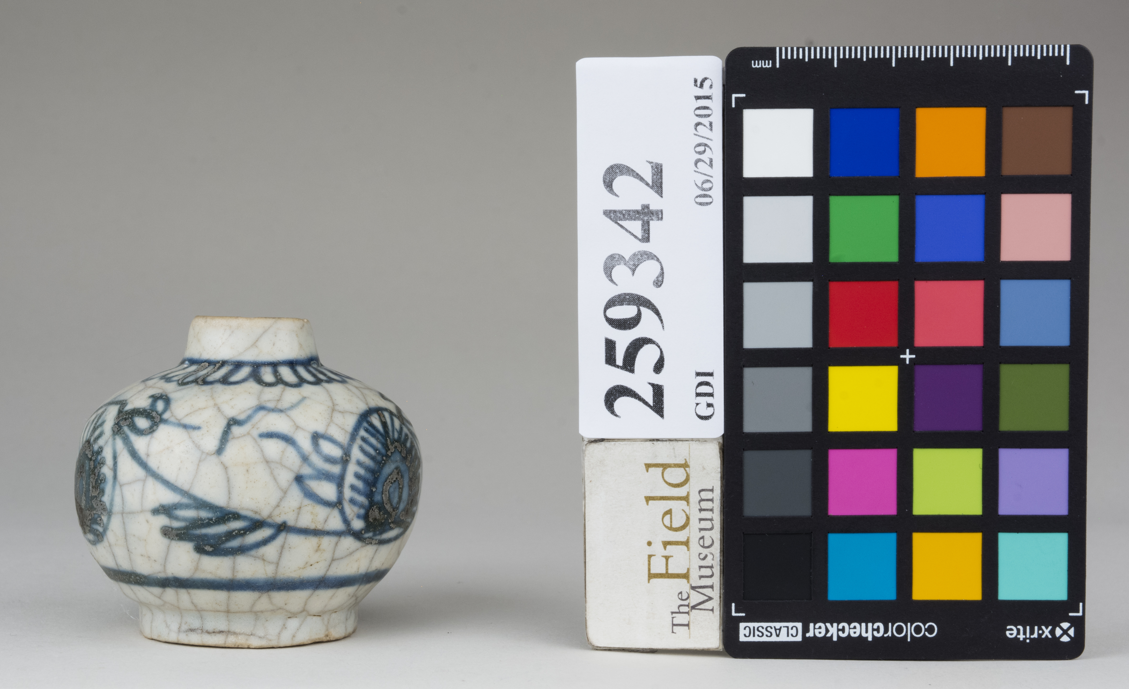 Right (c) Field Museum of Natural History - CC BY-NC 4.0