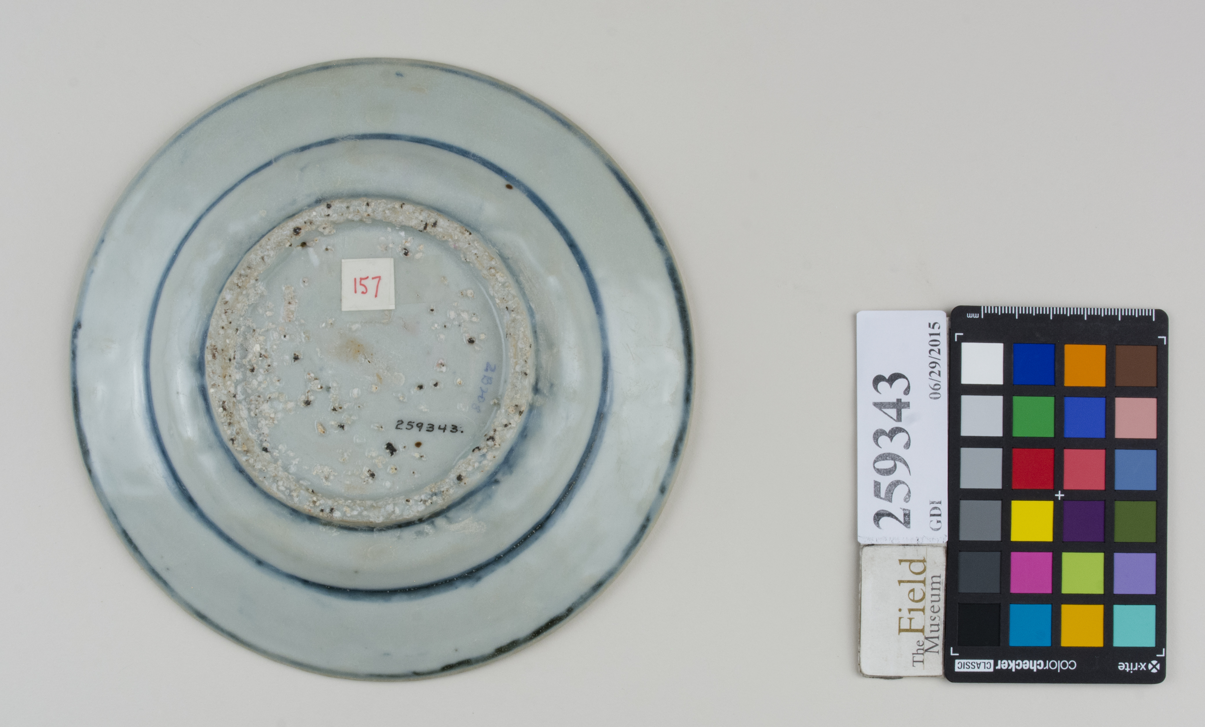 Bottom (c) Field Museum of Natural History - CC BY-NC 4.0