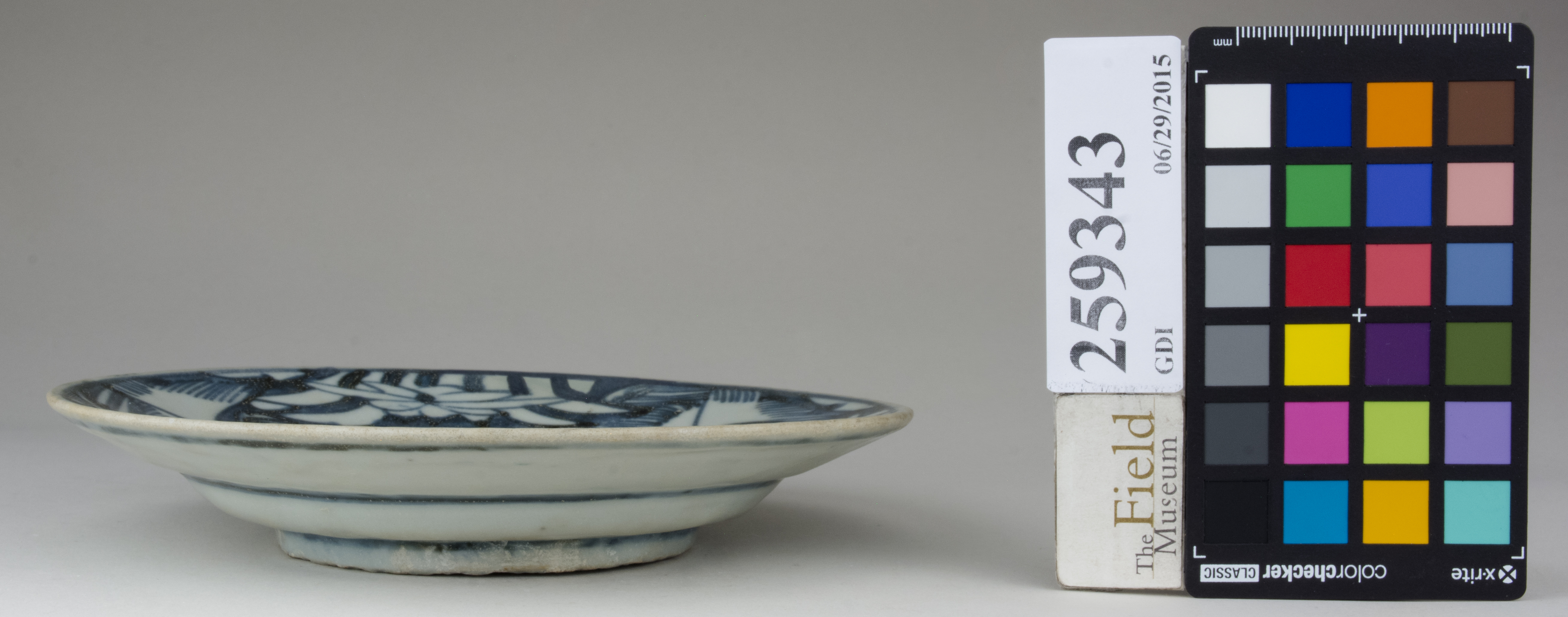 Front (c) Field Museum of Natural History - CC BY-NC 4.0