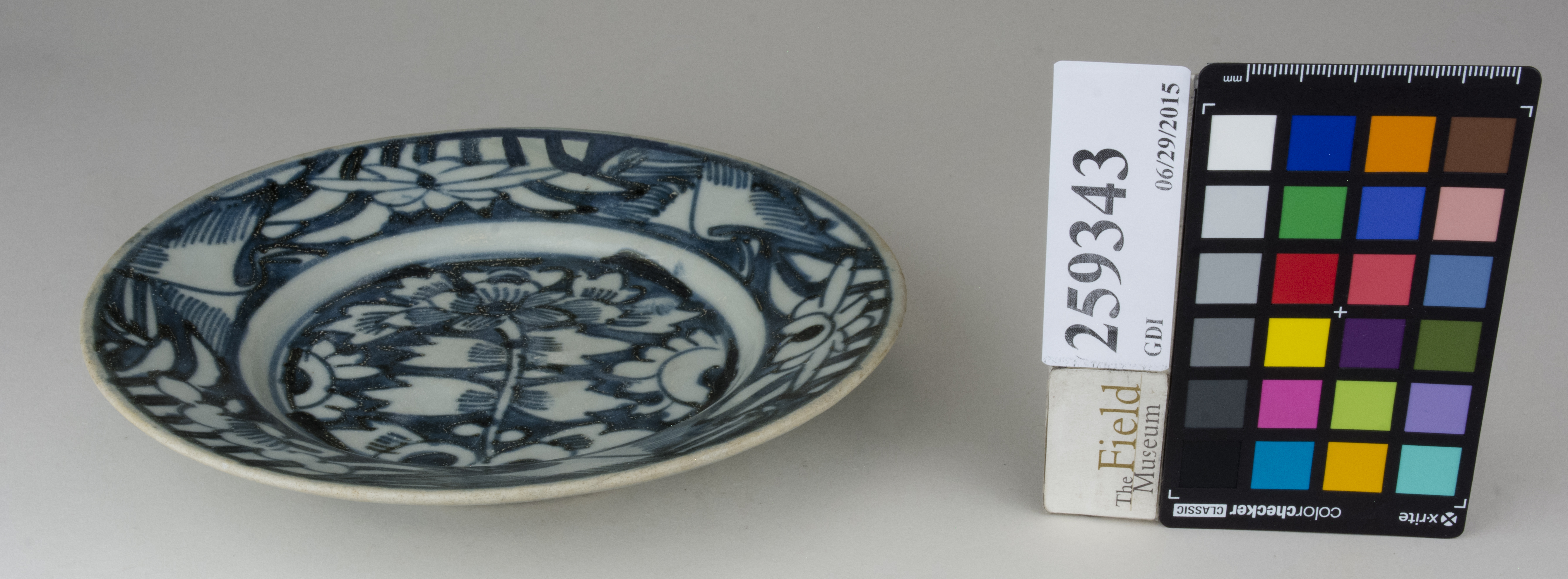 FrontAngle (c) Field Museum of Natural History - CC BY-NC 4.0