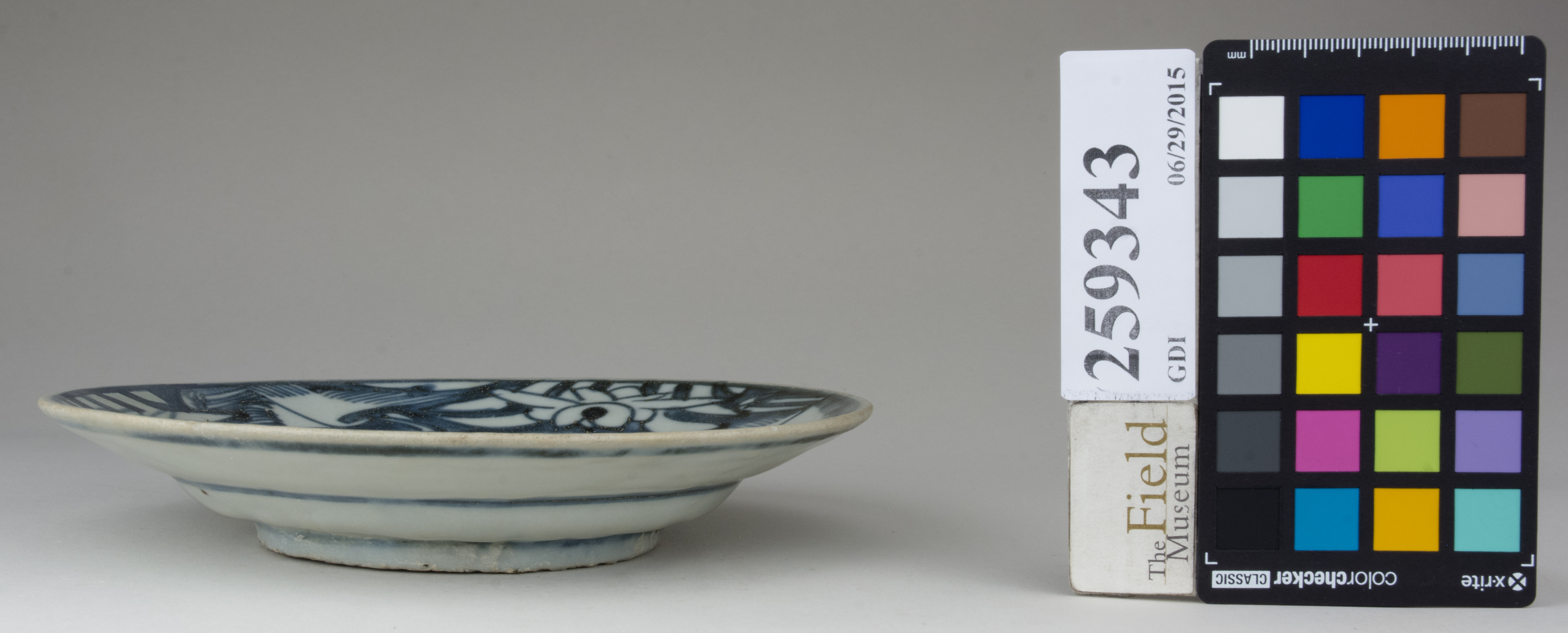 Right (c) Field Museum of Natural History - CC BY-NC 4.0