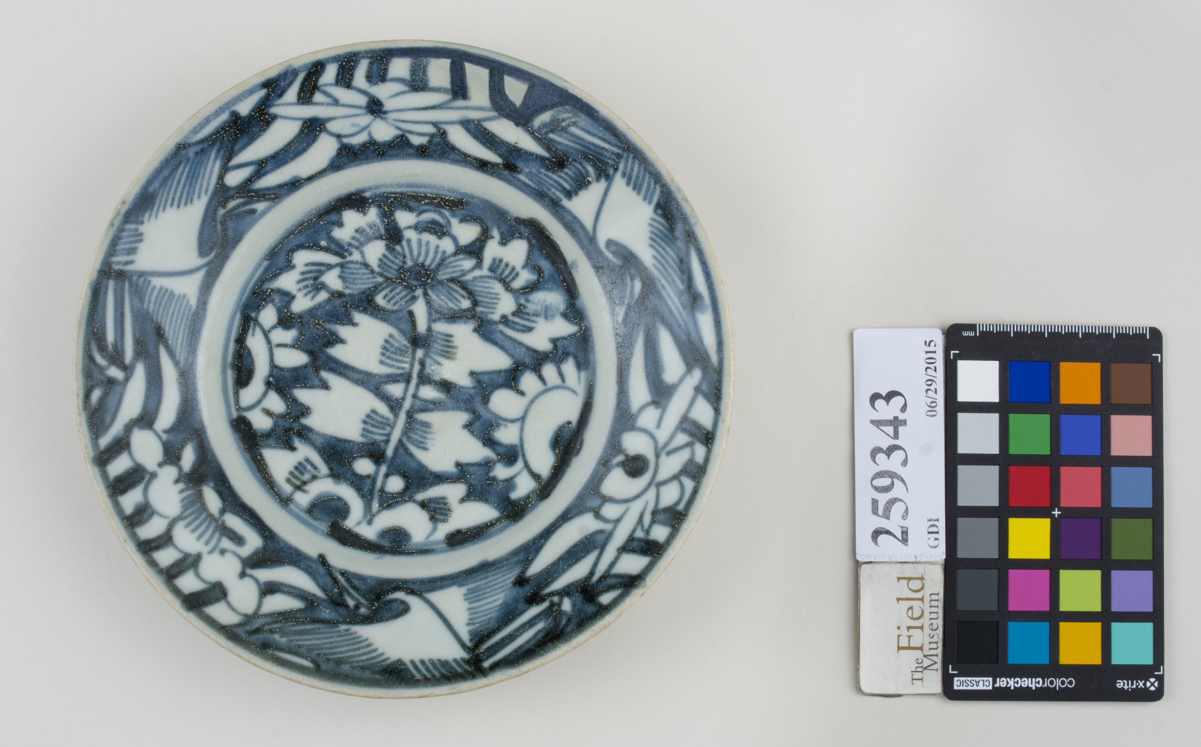 Top (c) Field Museum of Natural History - CC BY-NC 4.0