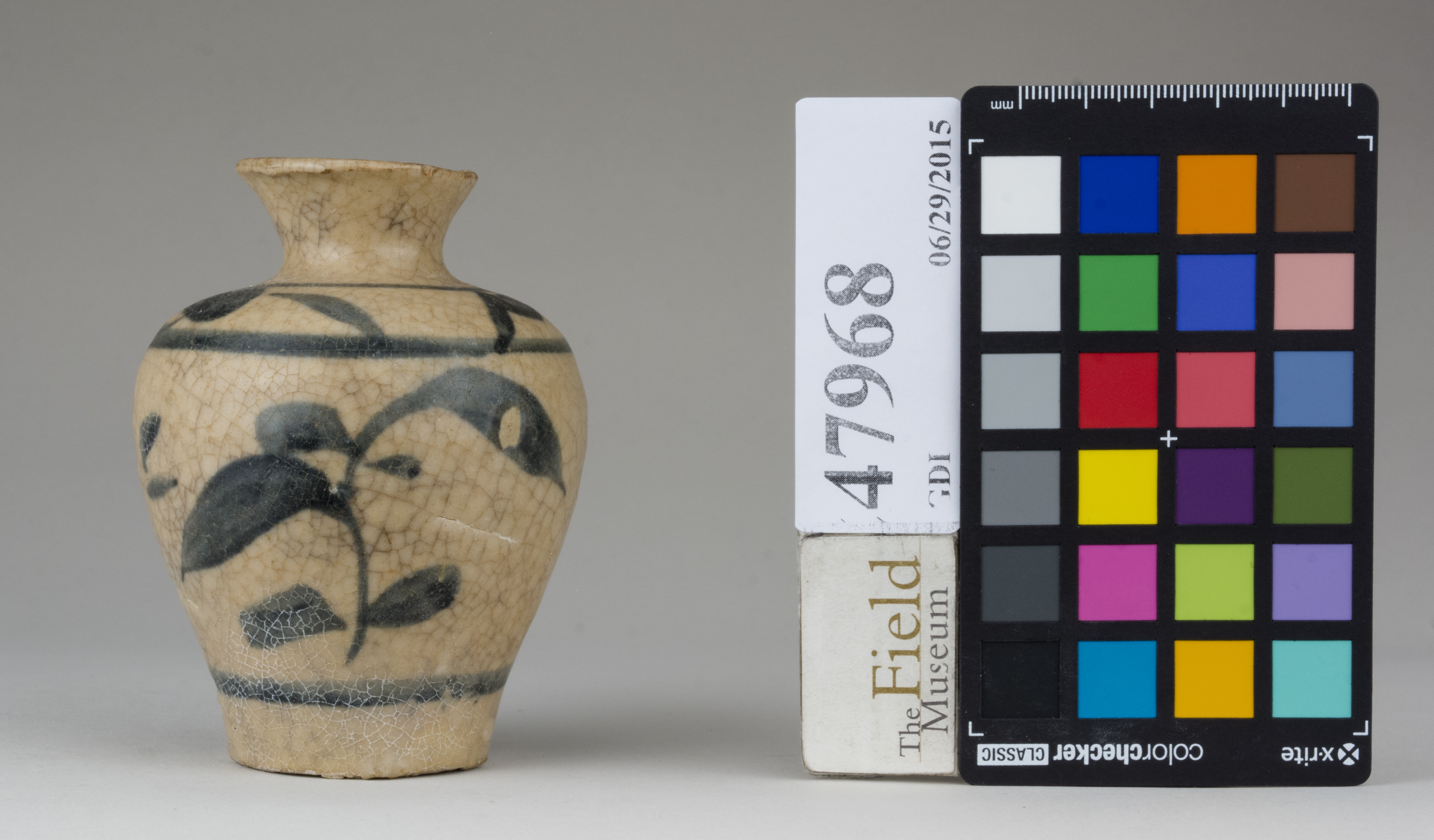 Front (c) Field Museum of Natural History - CC BY-NC 4.0