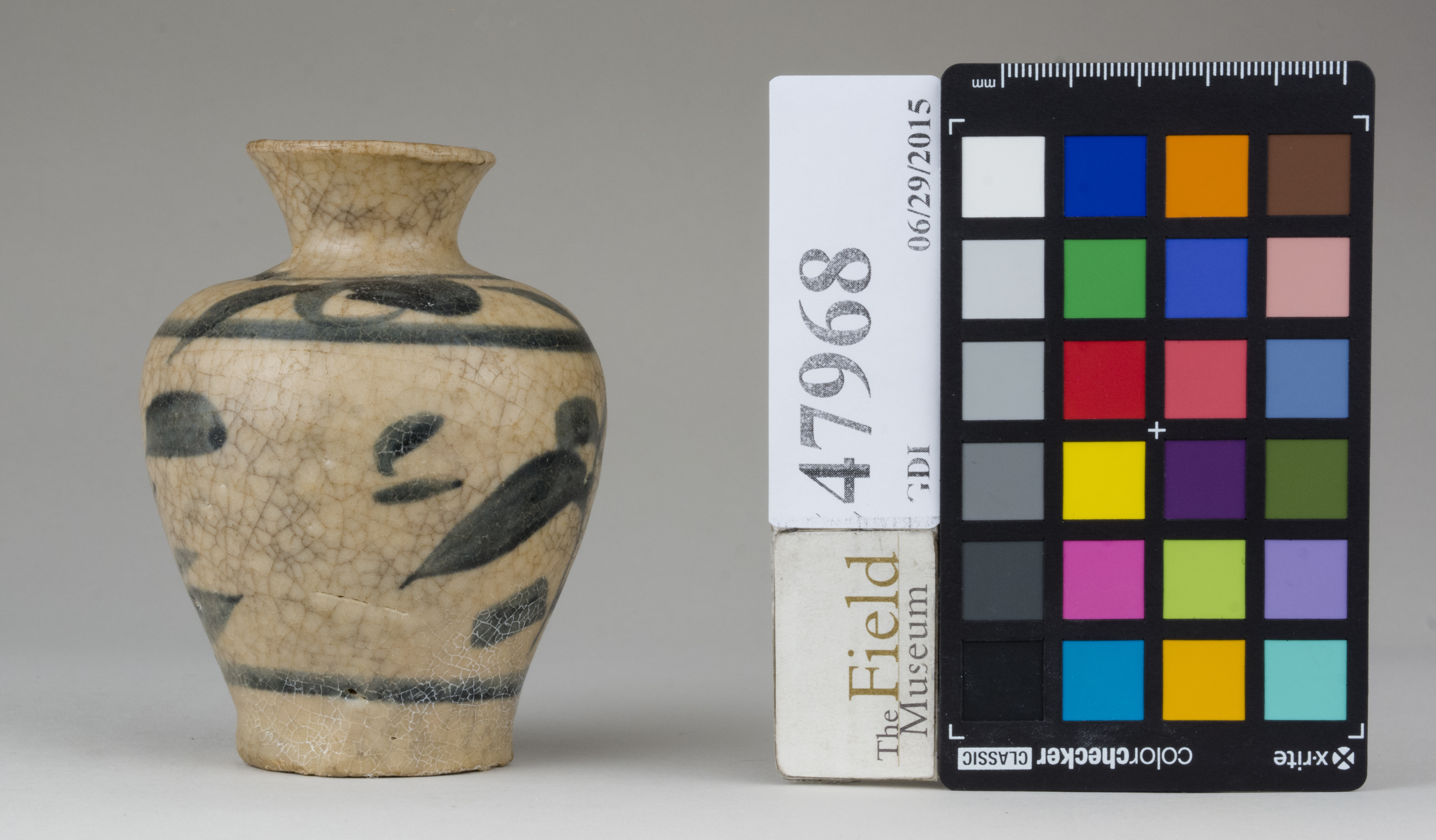 Right (c) Field Museum of Natural History - CC BY-NC 4.0