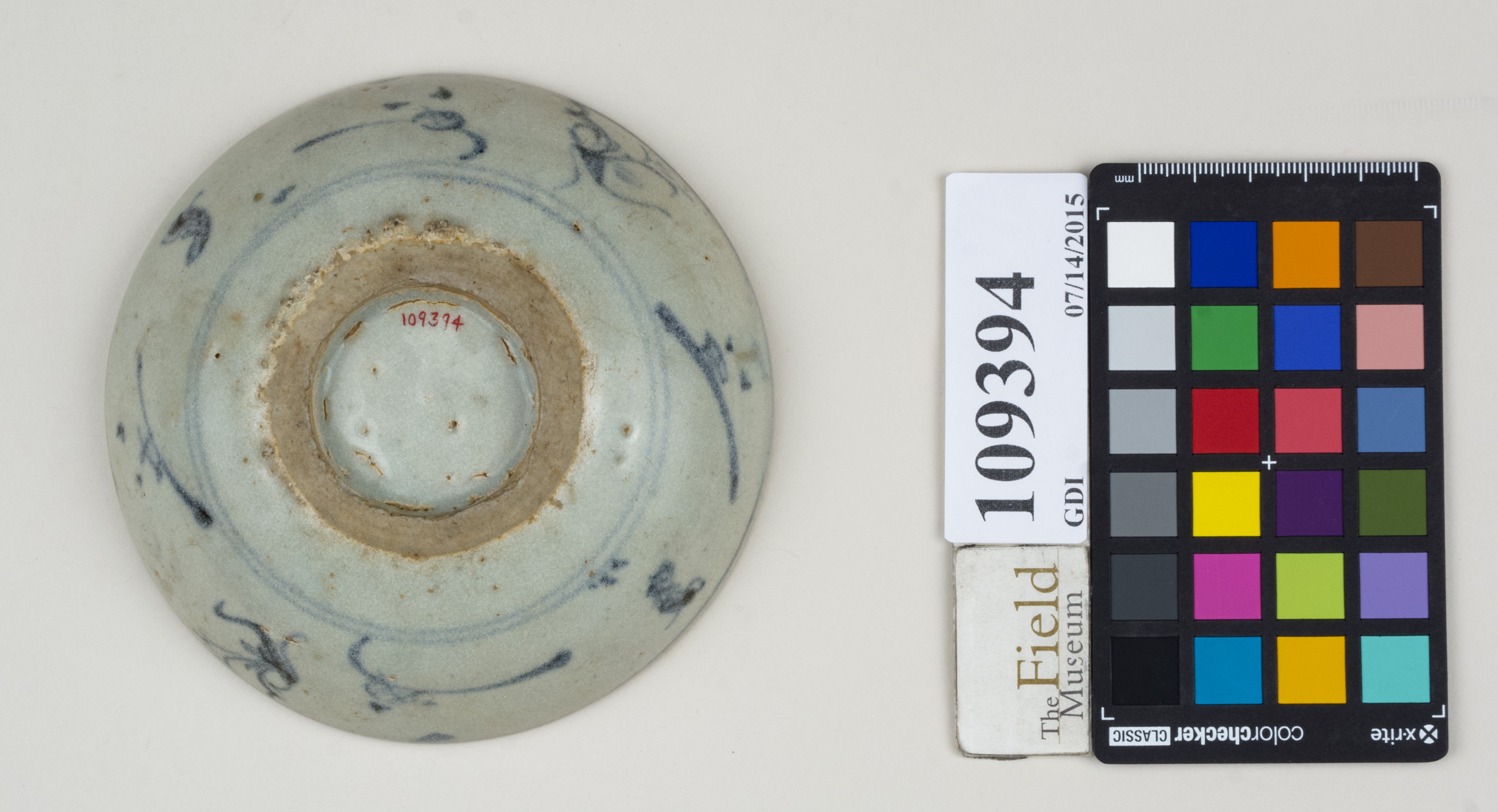 Bottom (c) Field Museum of Natural History - CC BY-NC 4.0