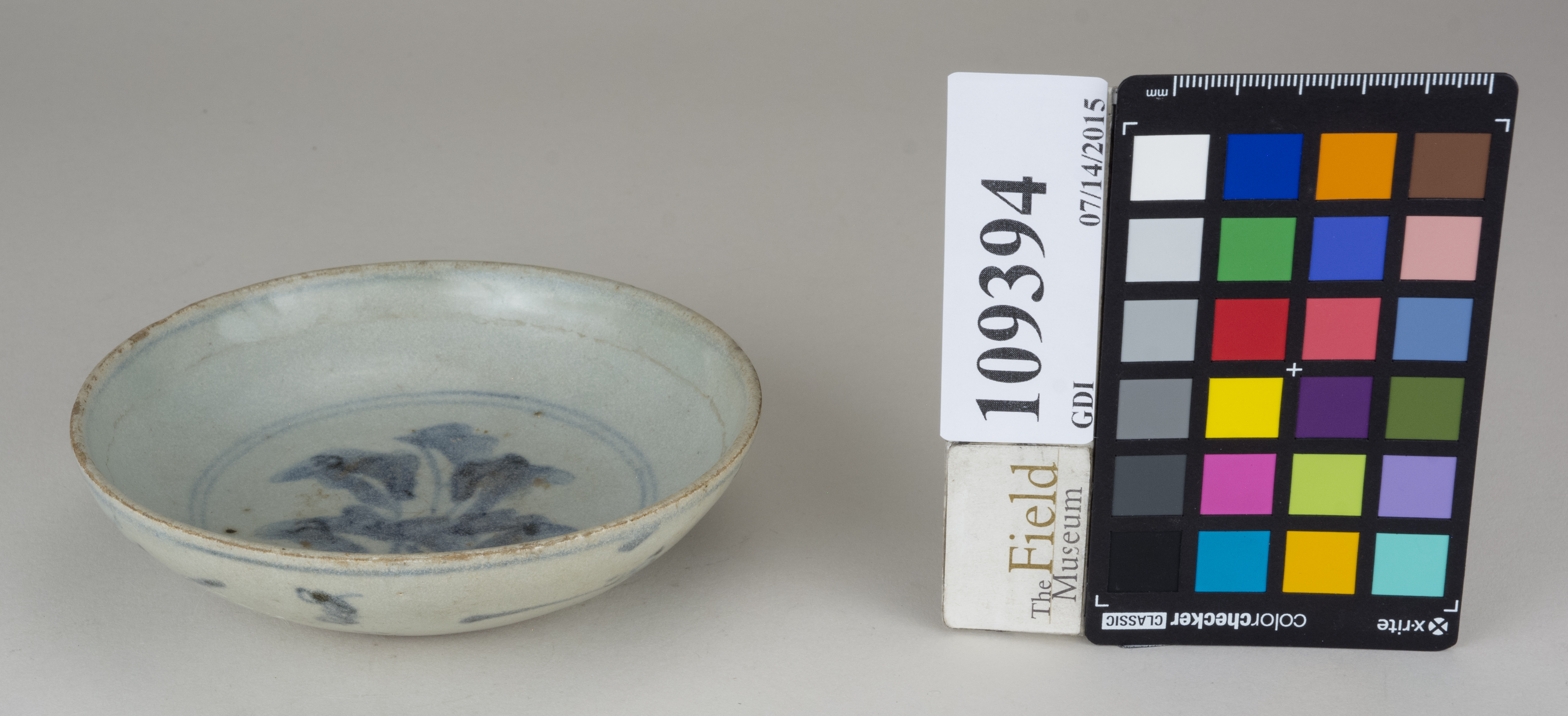 FrontAngle (c) Field Museum of Natural History - CC BY-NC 4.0