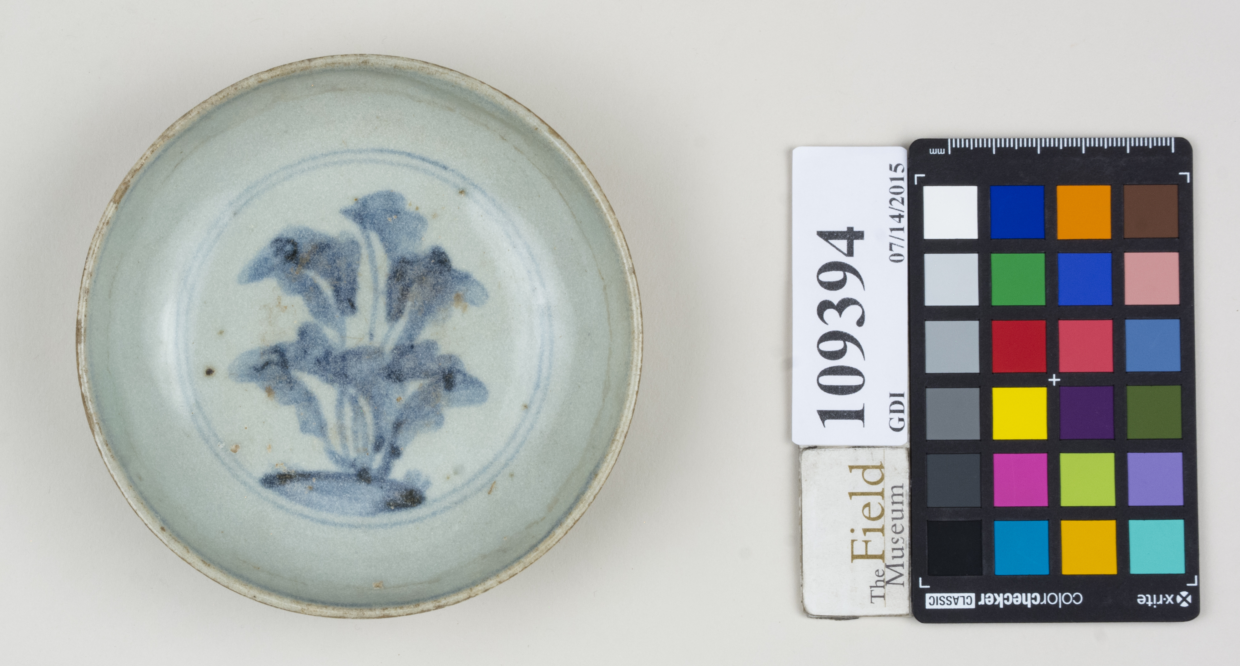 Top (c) Field Museum of Natural History - CC BY-NC 4.0