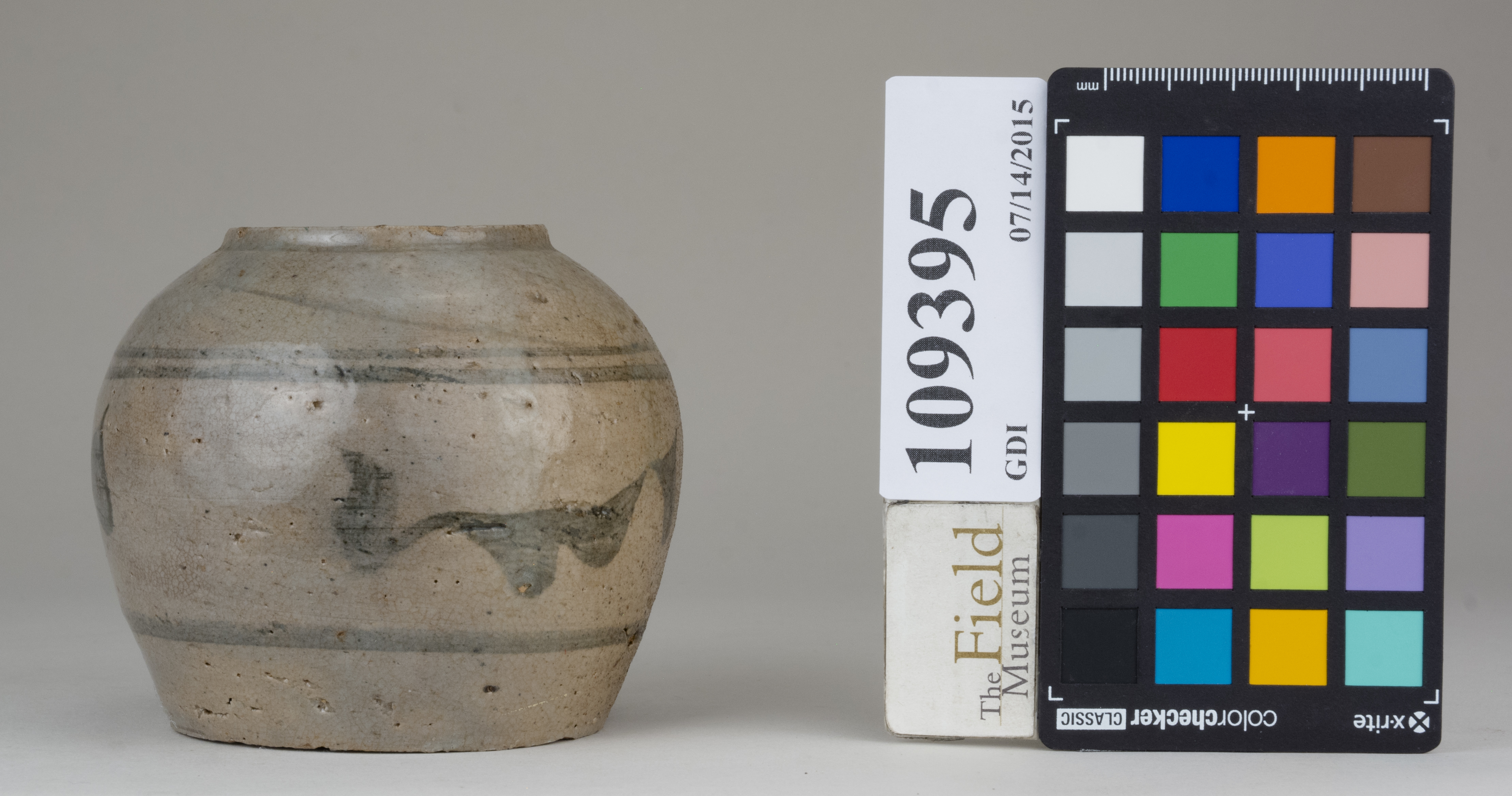 reference image, back (c) Field Museum of Natural History - CC BY-NC 4.0