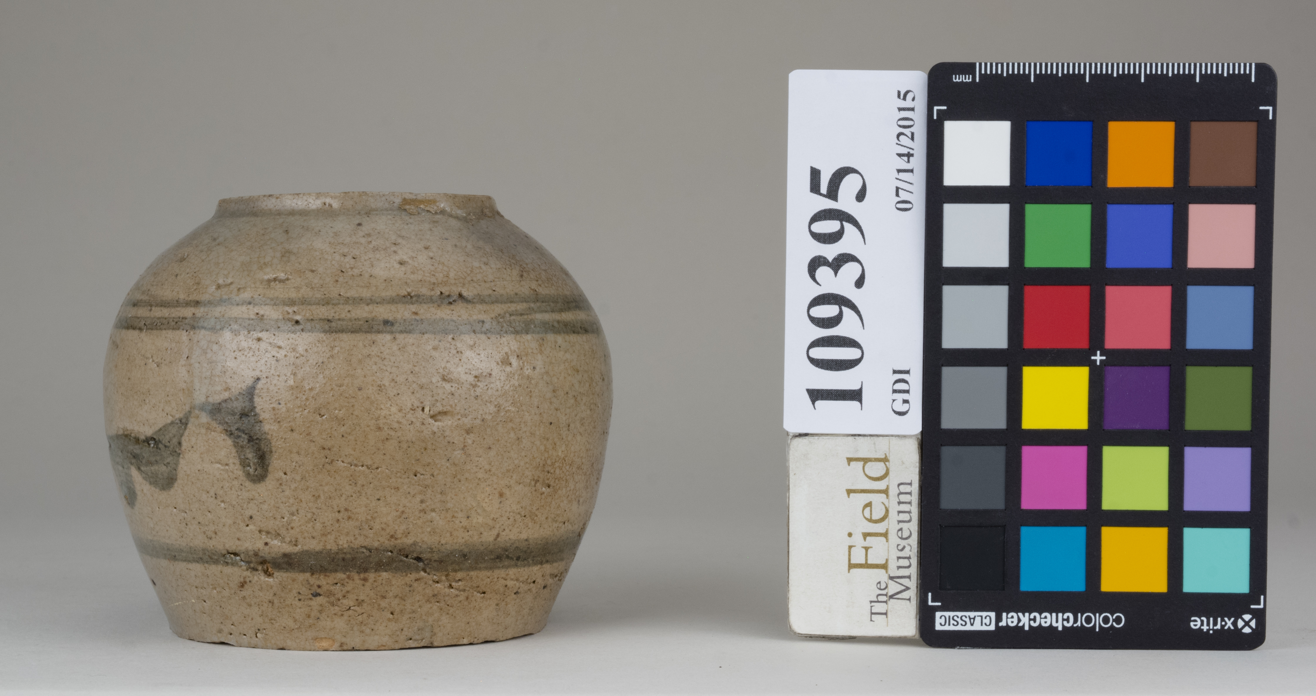 Left (c) Field Museum of Natural History - CC BY-NC 4.0