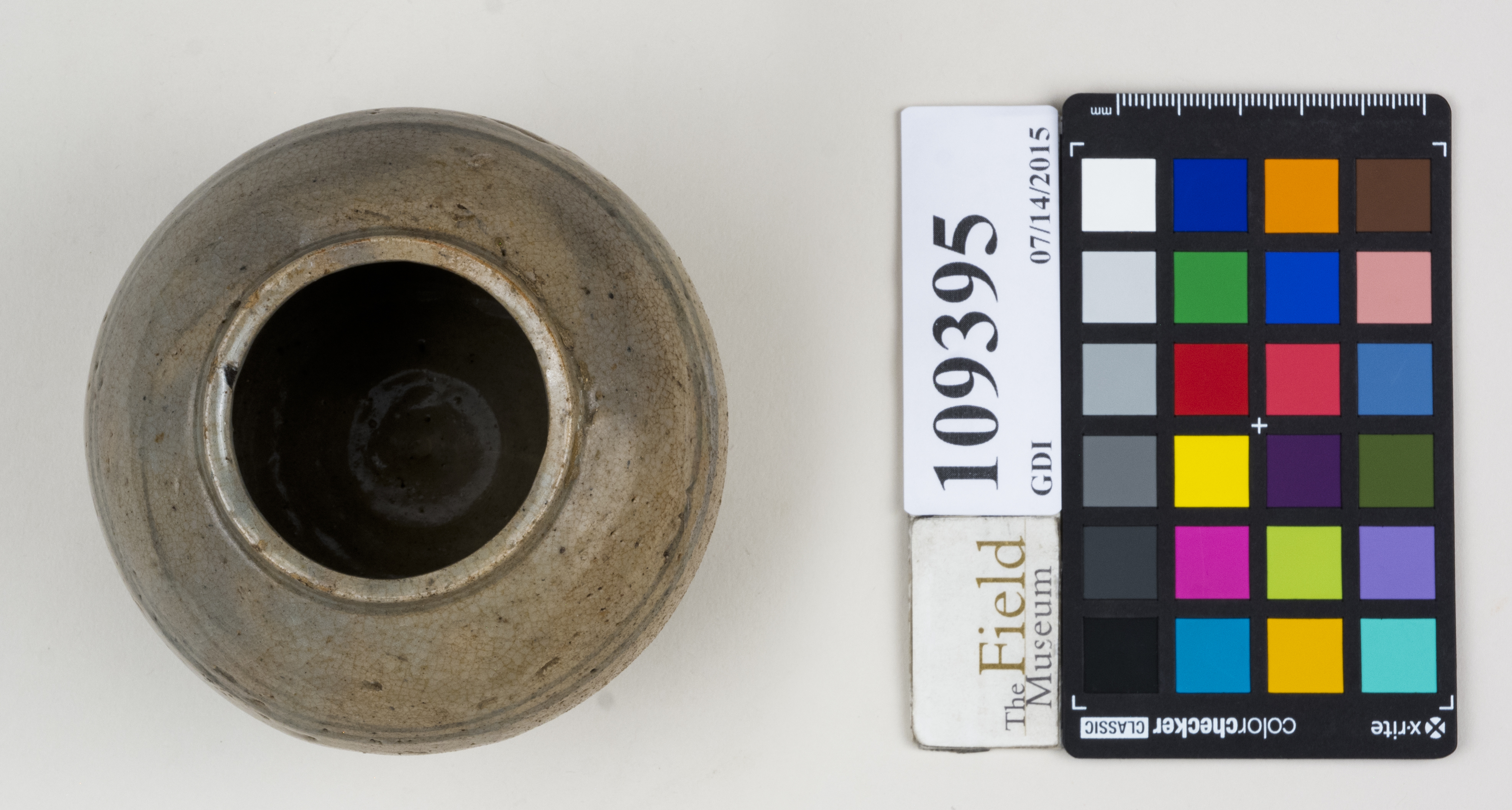 Top (c) Field Museum of Natural History - CC BY-NC 4.0