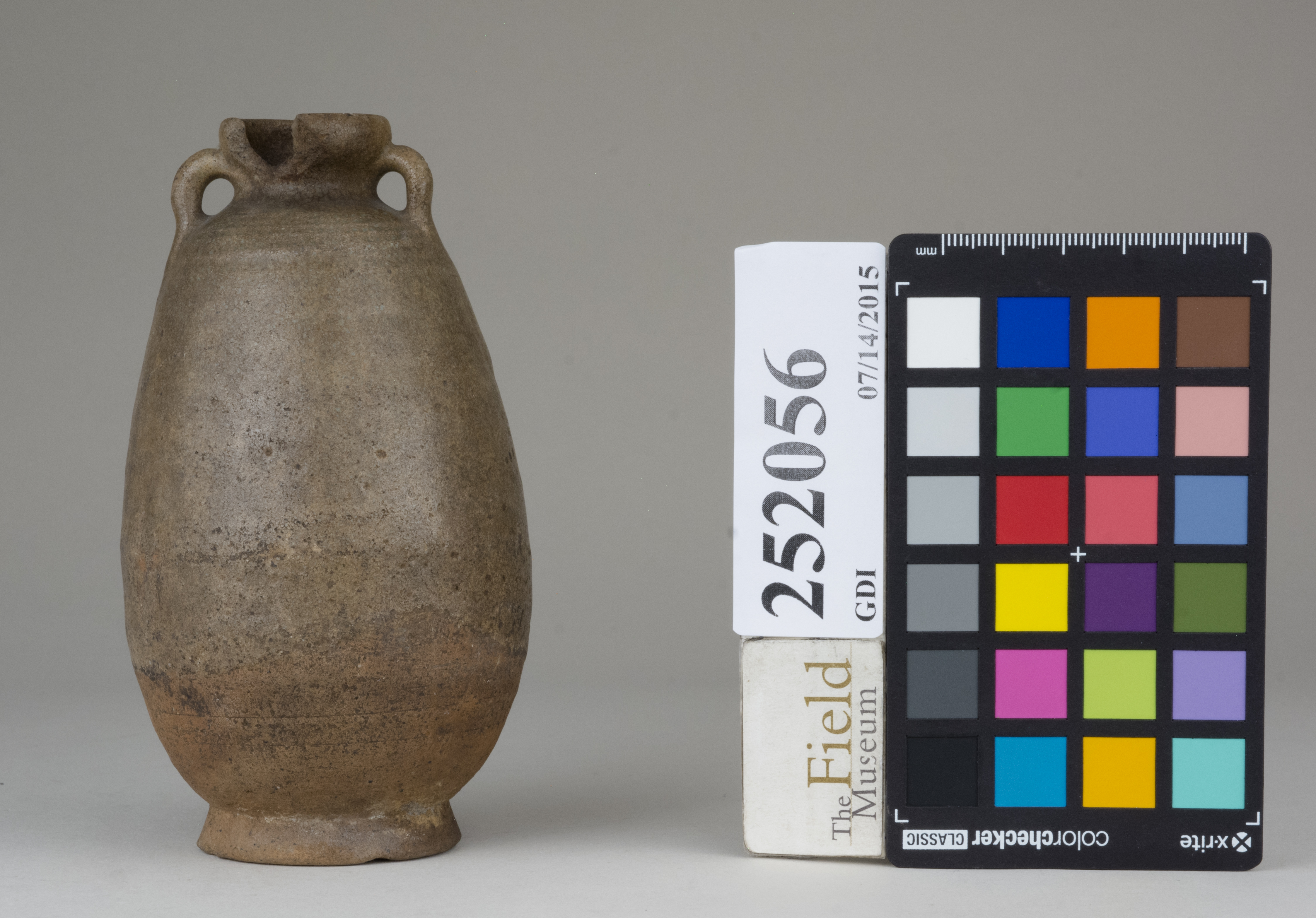 Front (c) Field Museum of Natural History - CC BY-NC 4.0