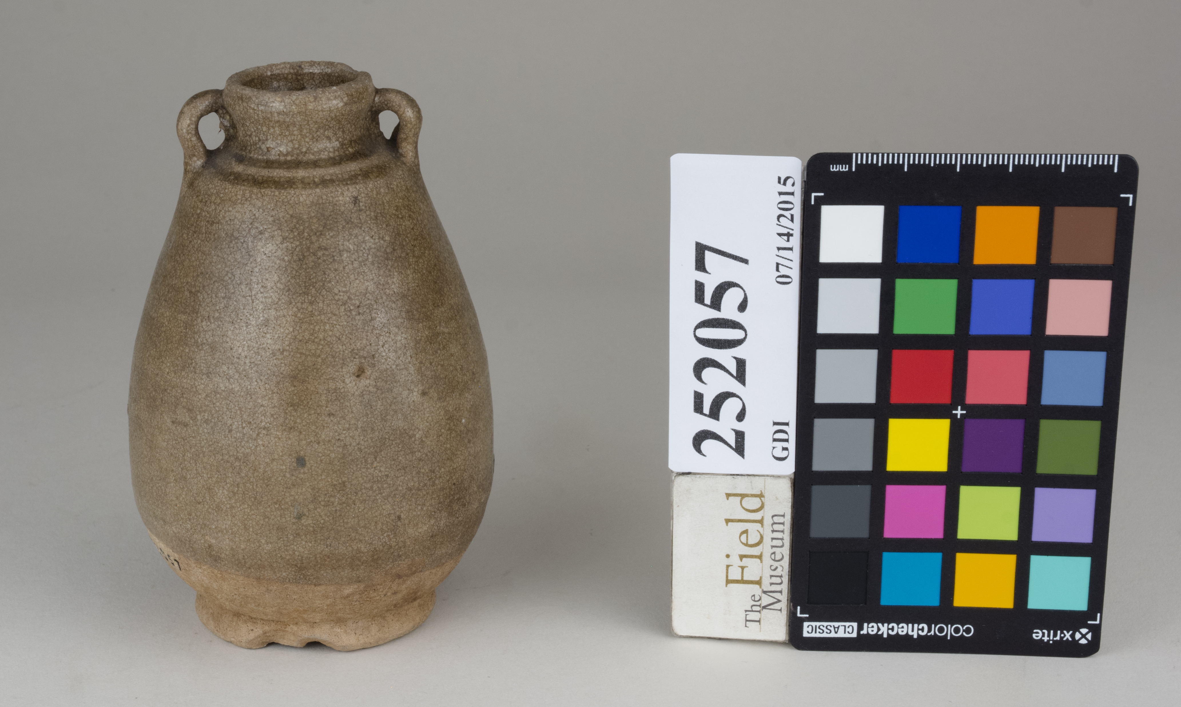 FrontAngle (c) Field Museum of Natural History - CC BY-NC 4.0