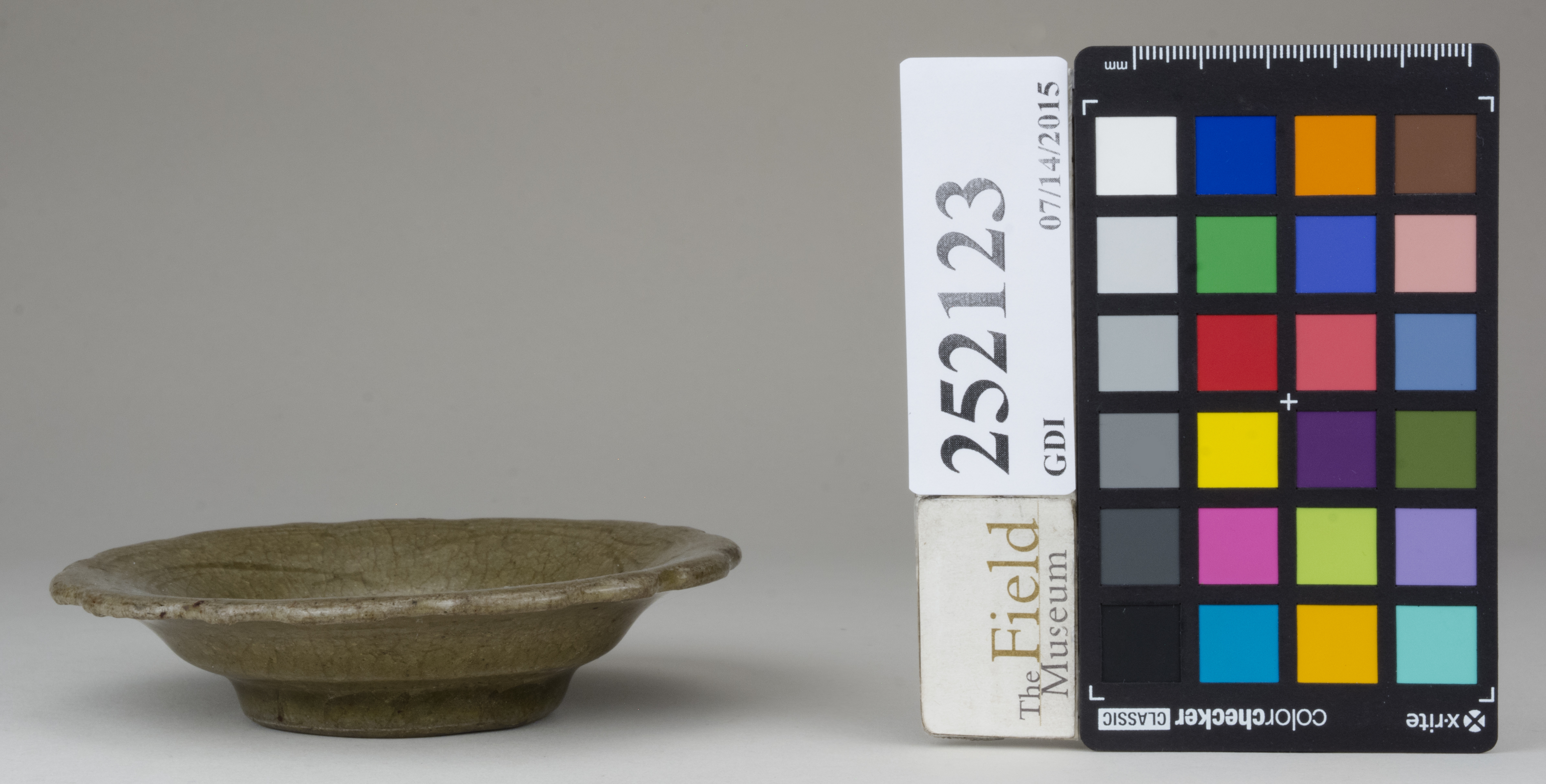 reference image, back (c) Field Museum of Natural History - CC BY-NC 4.0