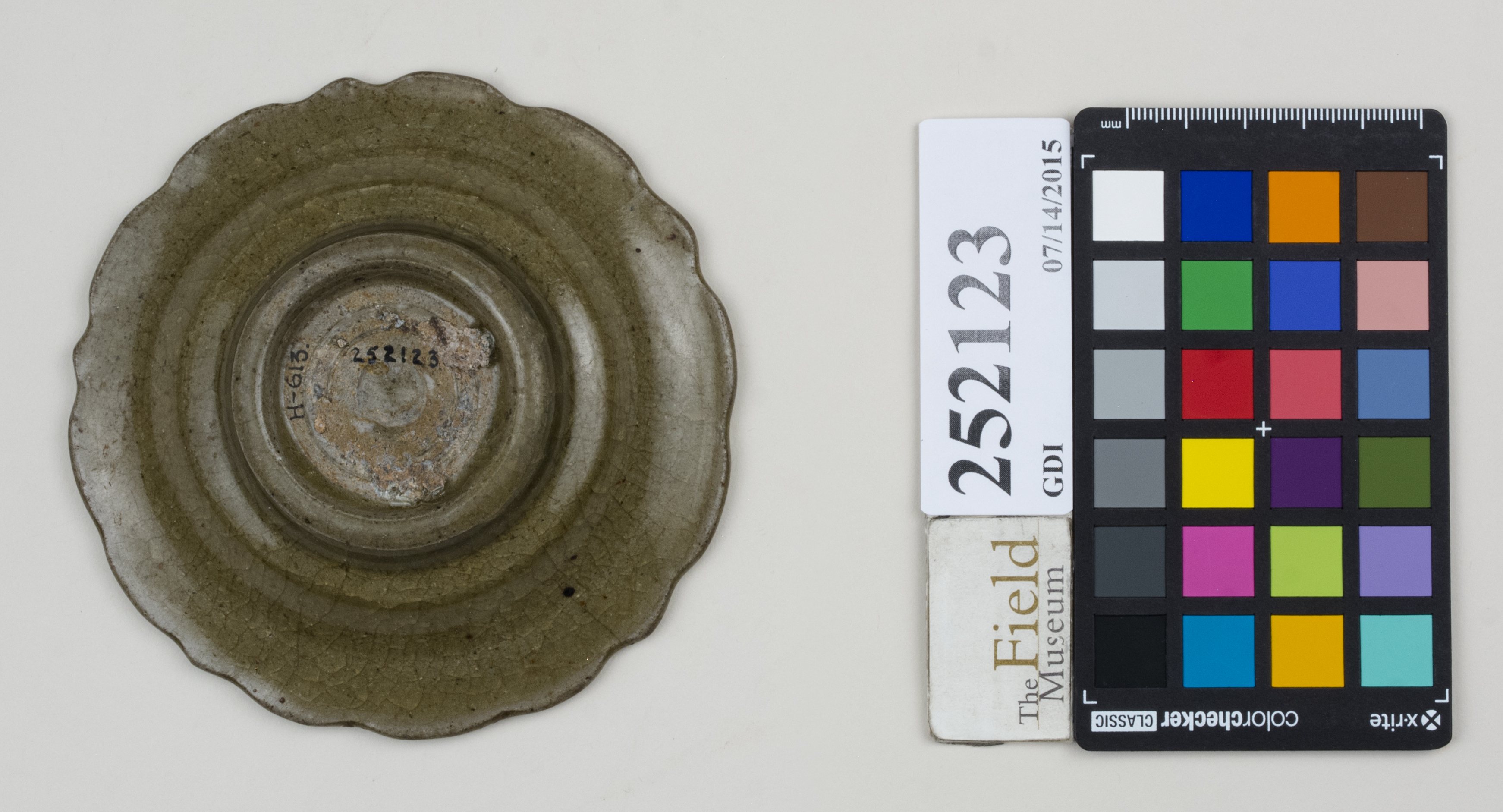 Bottom (c) Field Museum of Natural History - CC BY-NC 4.0