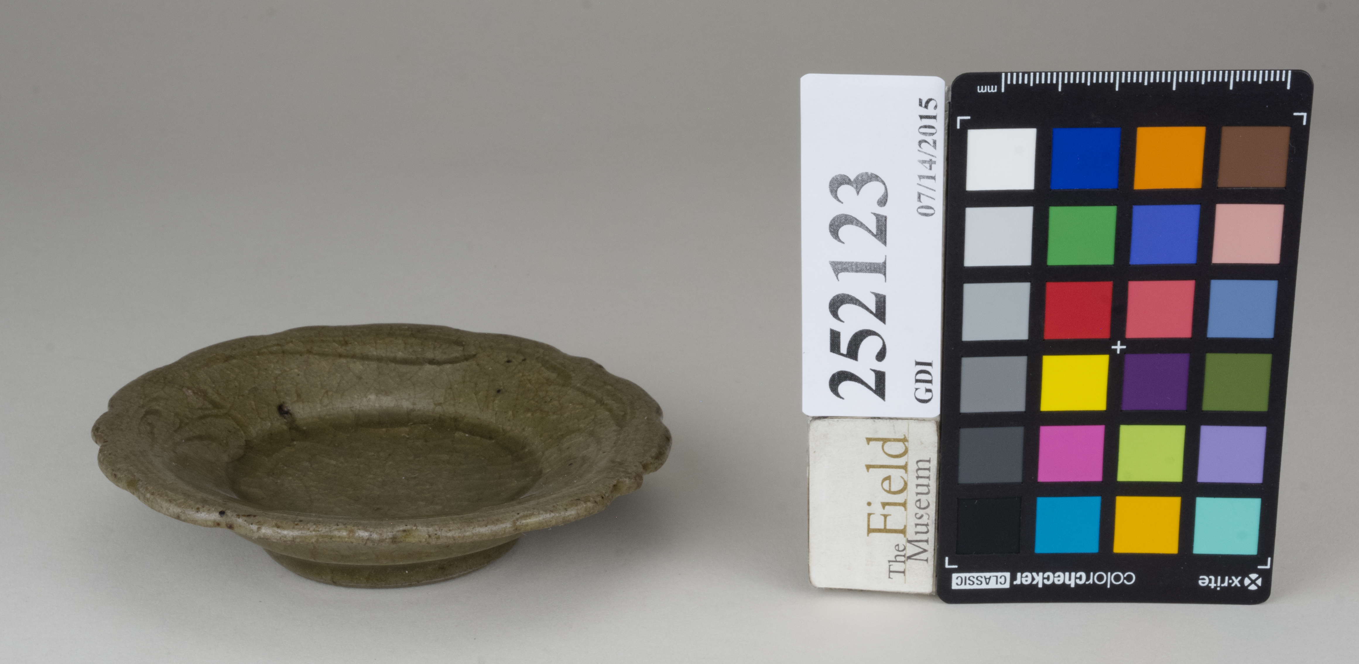 FrontAngle (c) Field Museum of Natural History - CC BY-NC 4.0