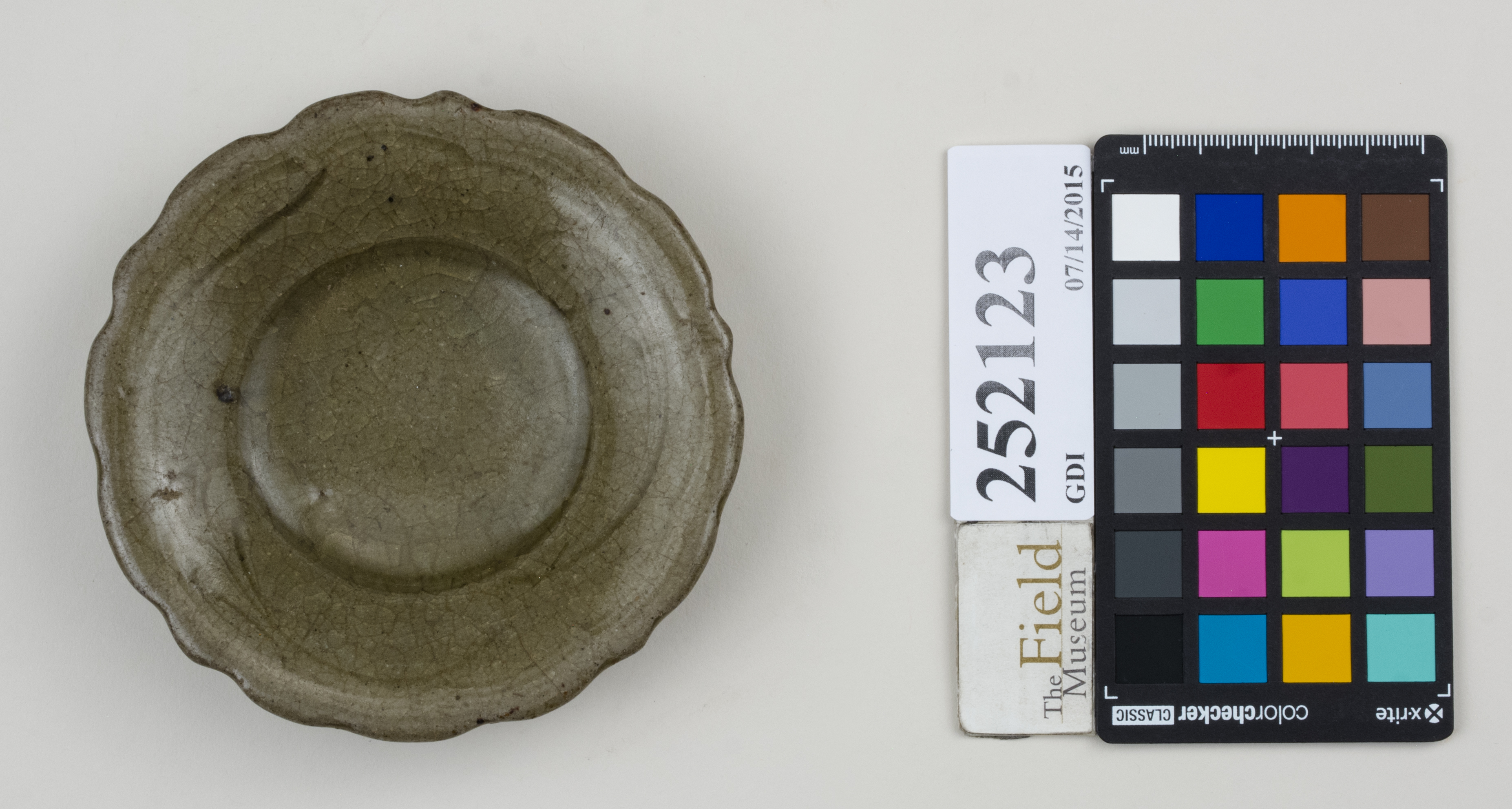 Top (c) Field Museum of Natural History - CC BY-NC 4.0